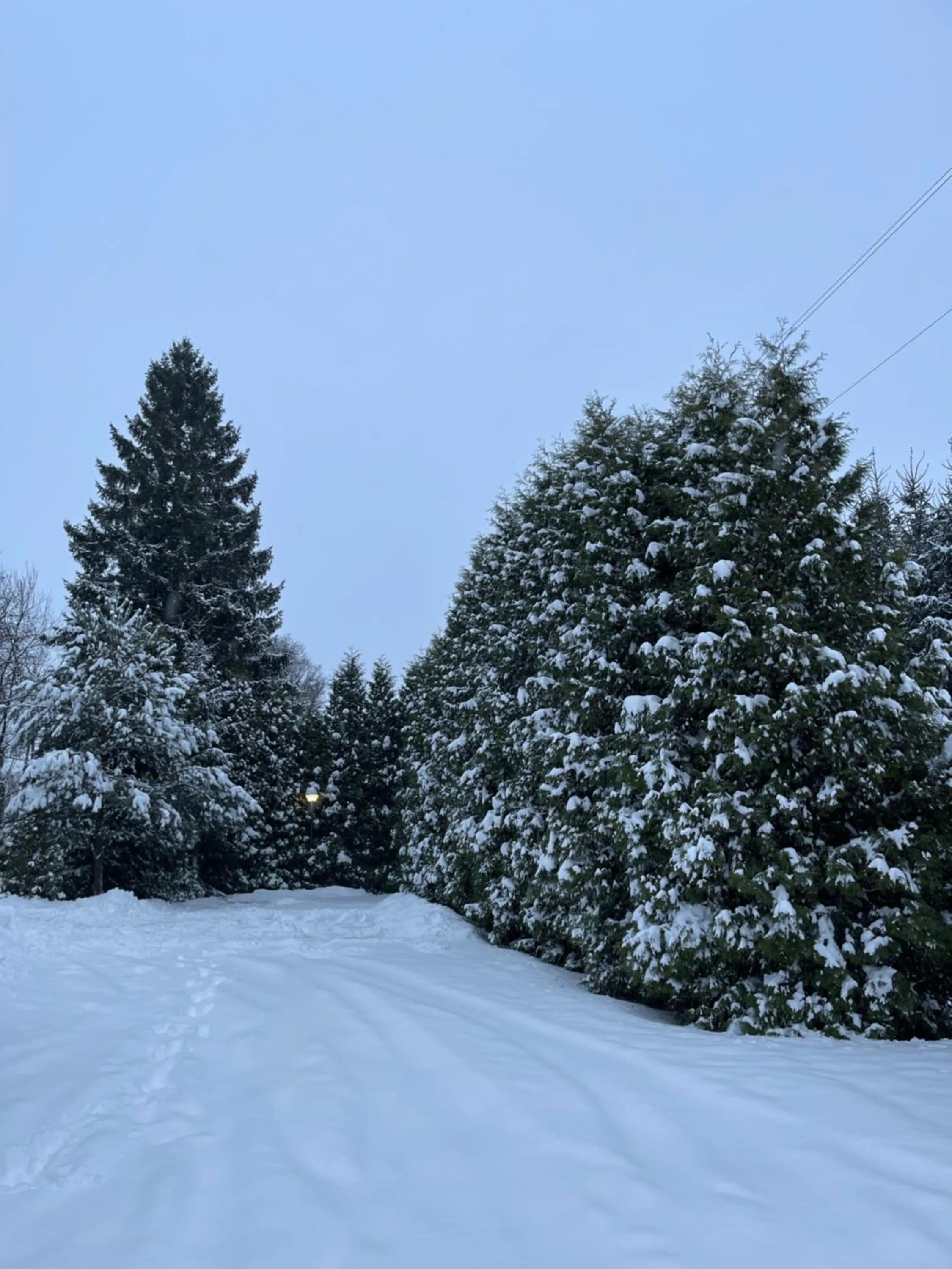 NOCLEGI-SPŁYWY BUGIEM