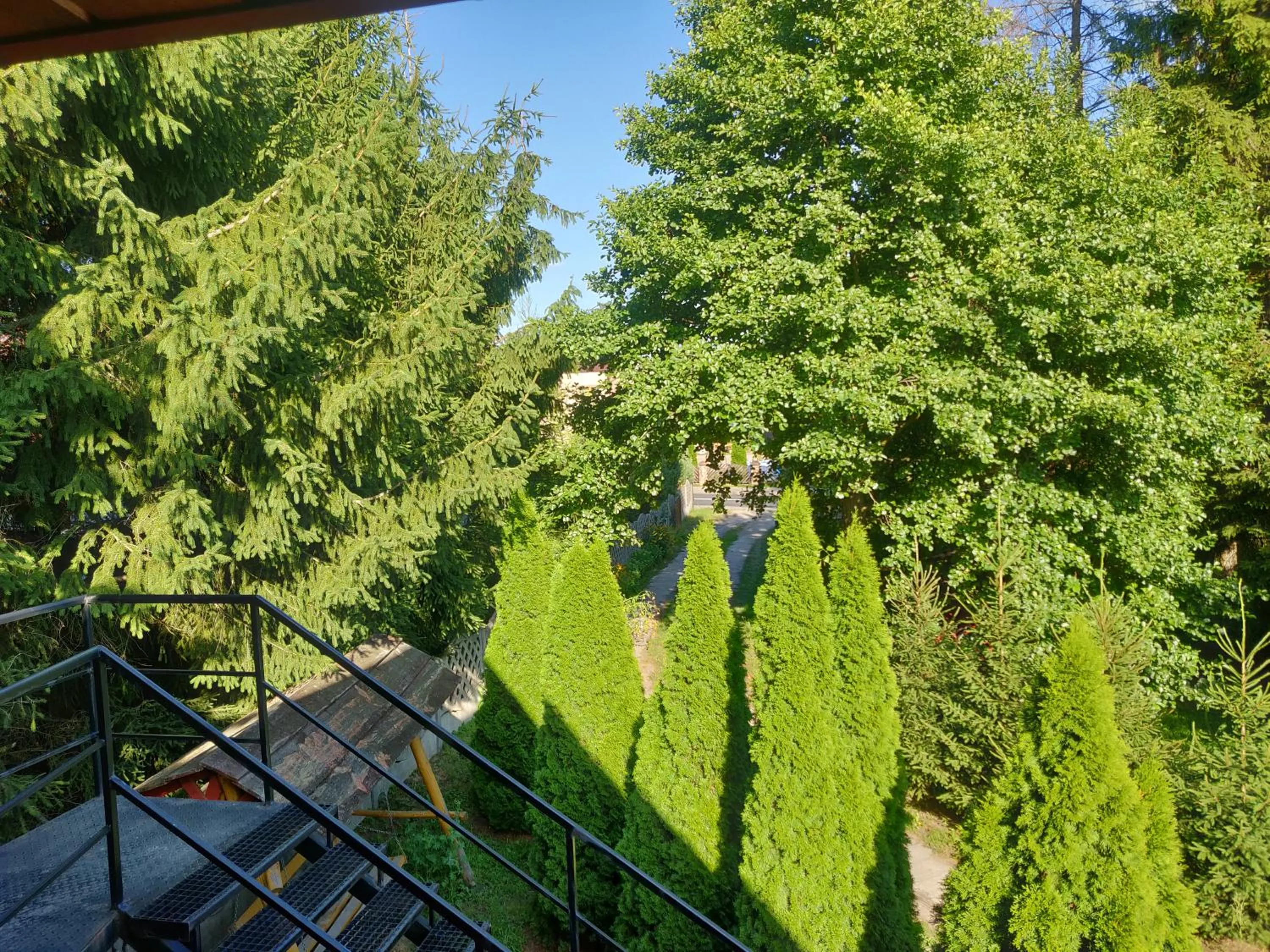 Natural landscape in NOCLEGI-SPŁYWY BUGIEM