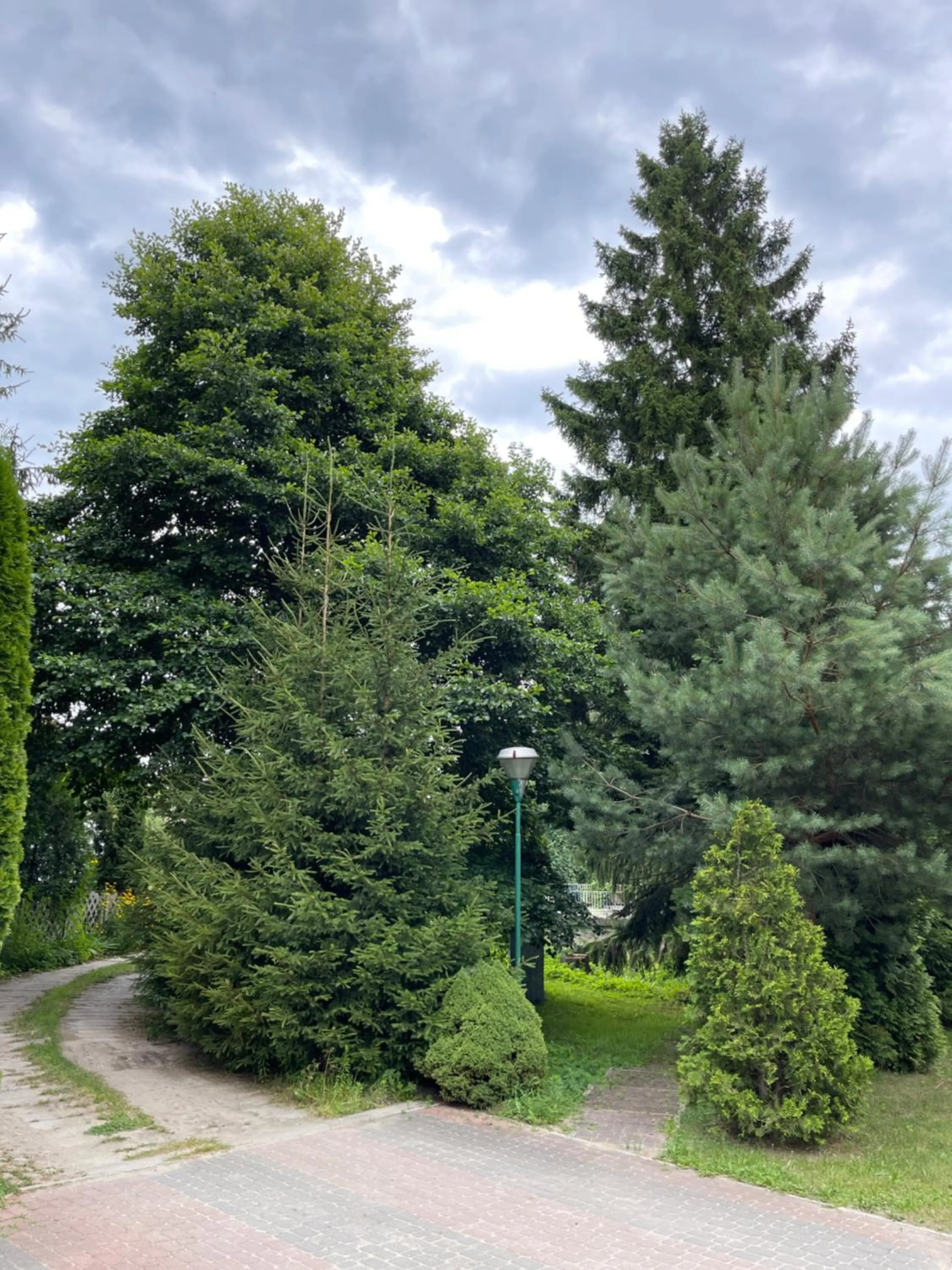 Natural landscape in NOCLEGI-SPŁYWY BUGIEM