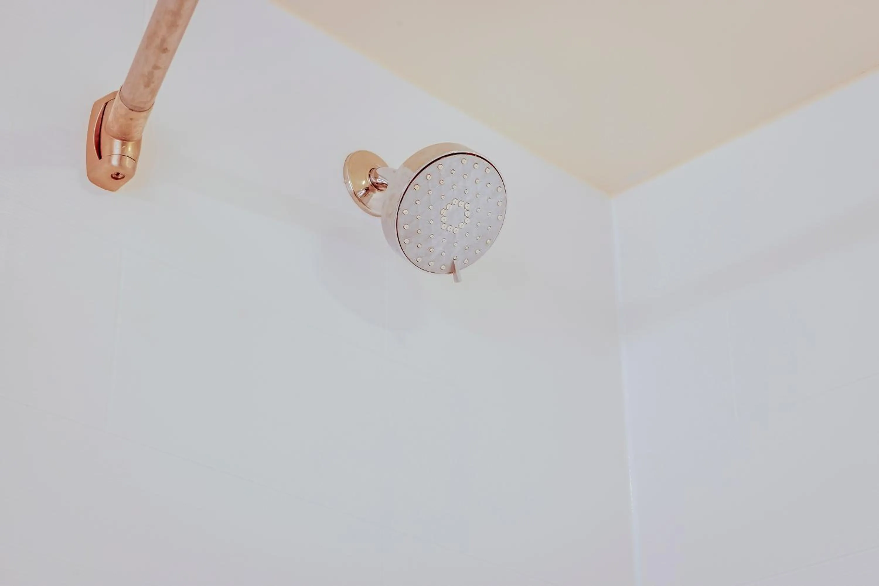 Shower in Holiday Inn Express Hotel & Suites Ohio State University- OSU Medical Center by IHG