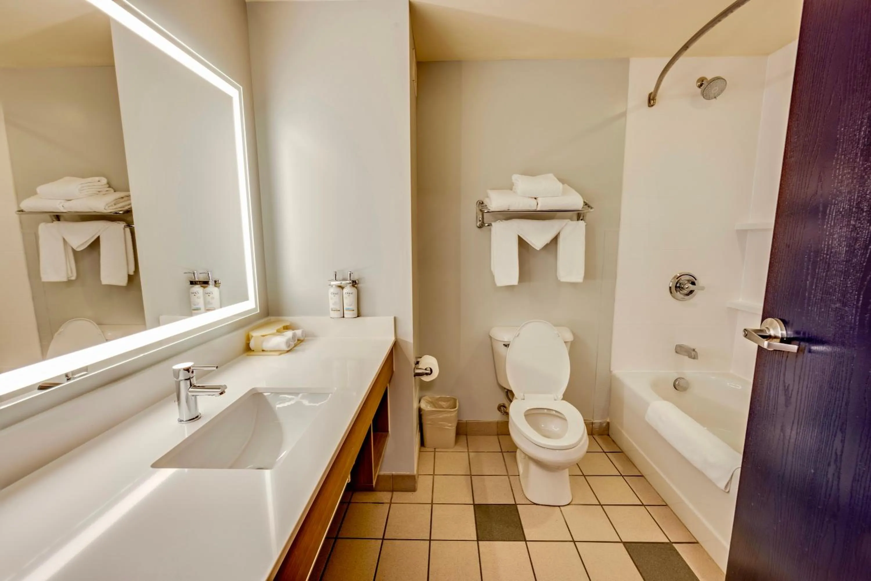 Bathroom in Holiday Inn Express Hotel & Suites Ohio State University- OSU Medical Center by IHG