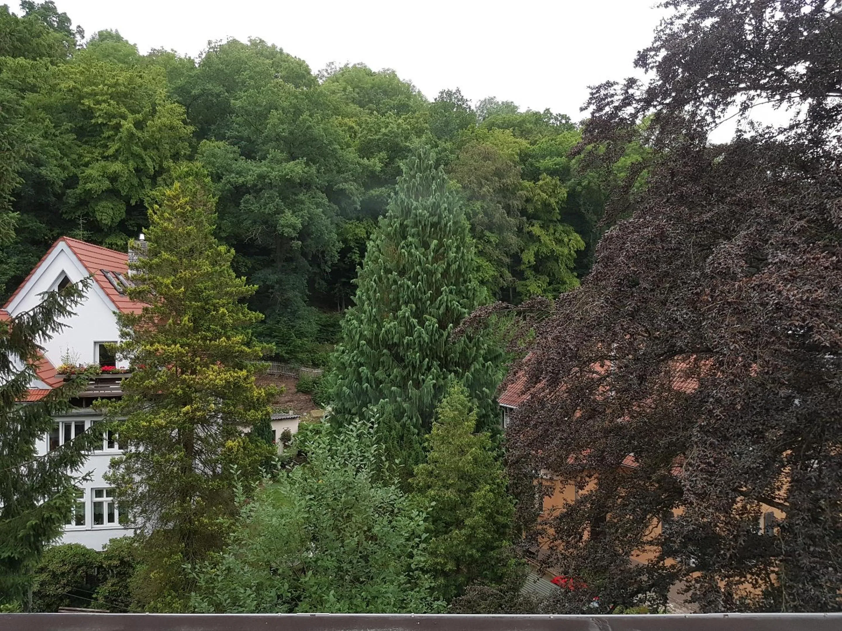 Natural landscape in Hotel - Restaurant Sophienaue