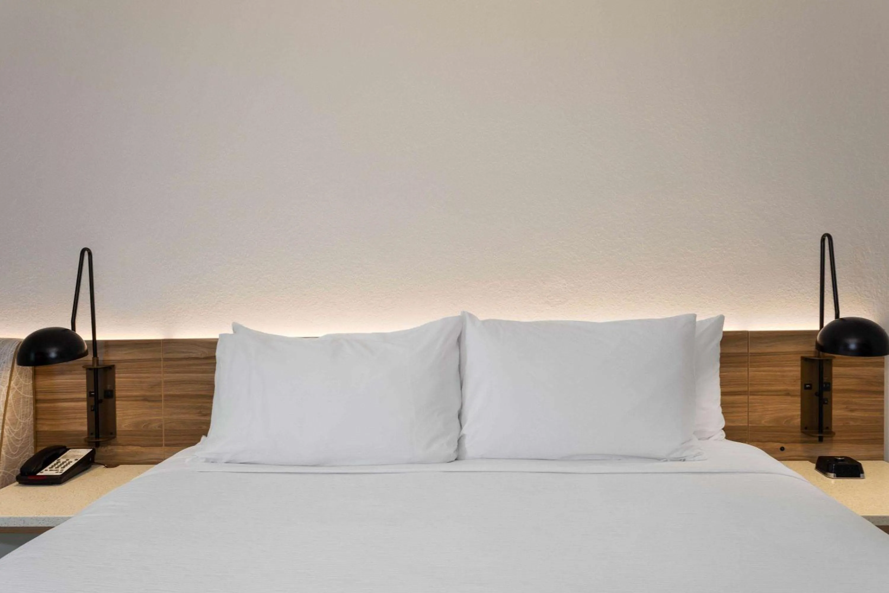 Photo of the whole room, Bed in Wyndham Garden Tallahassee Capitol Near FSU