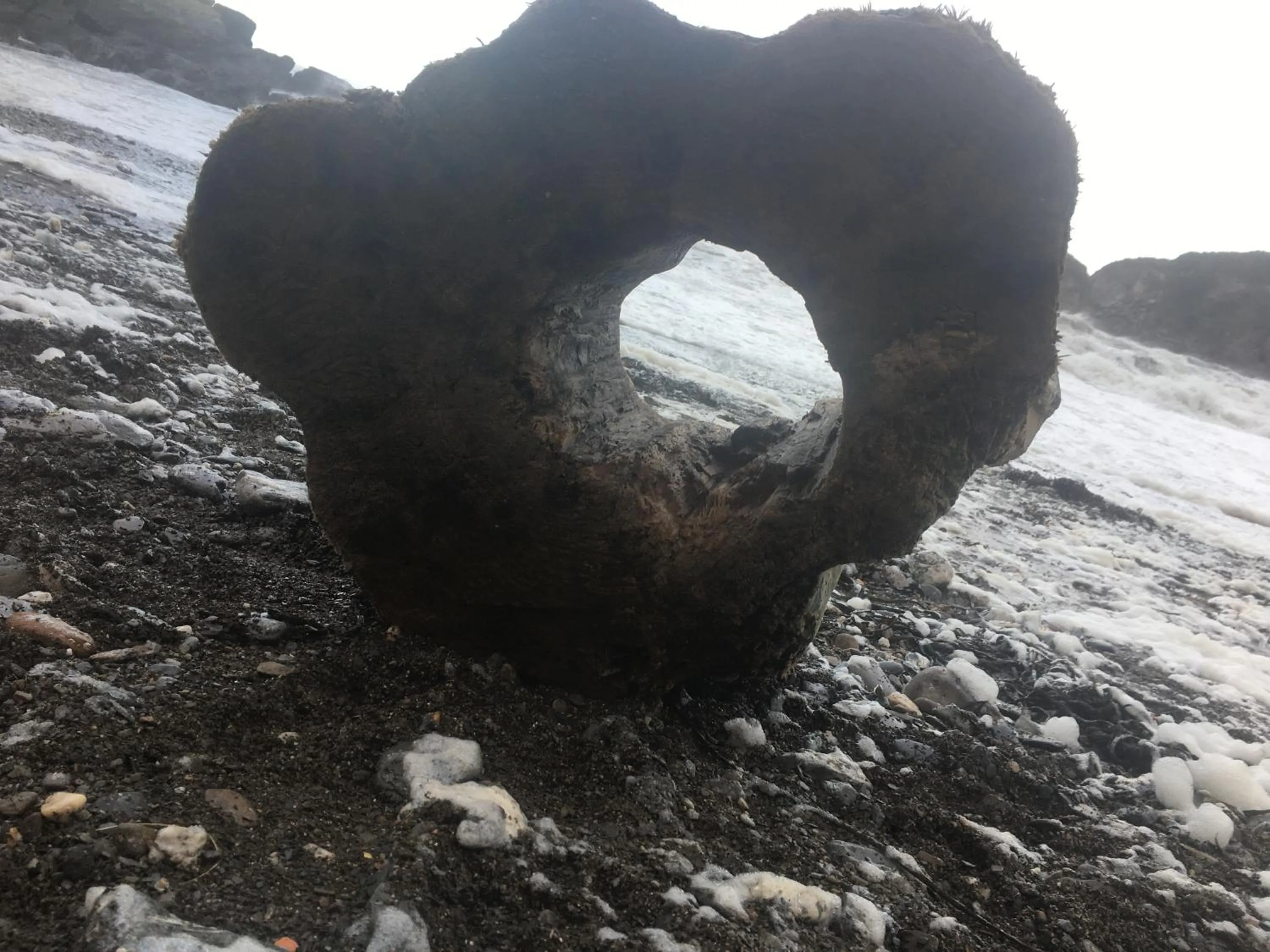 Beach in Newberry Beach lodge