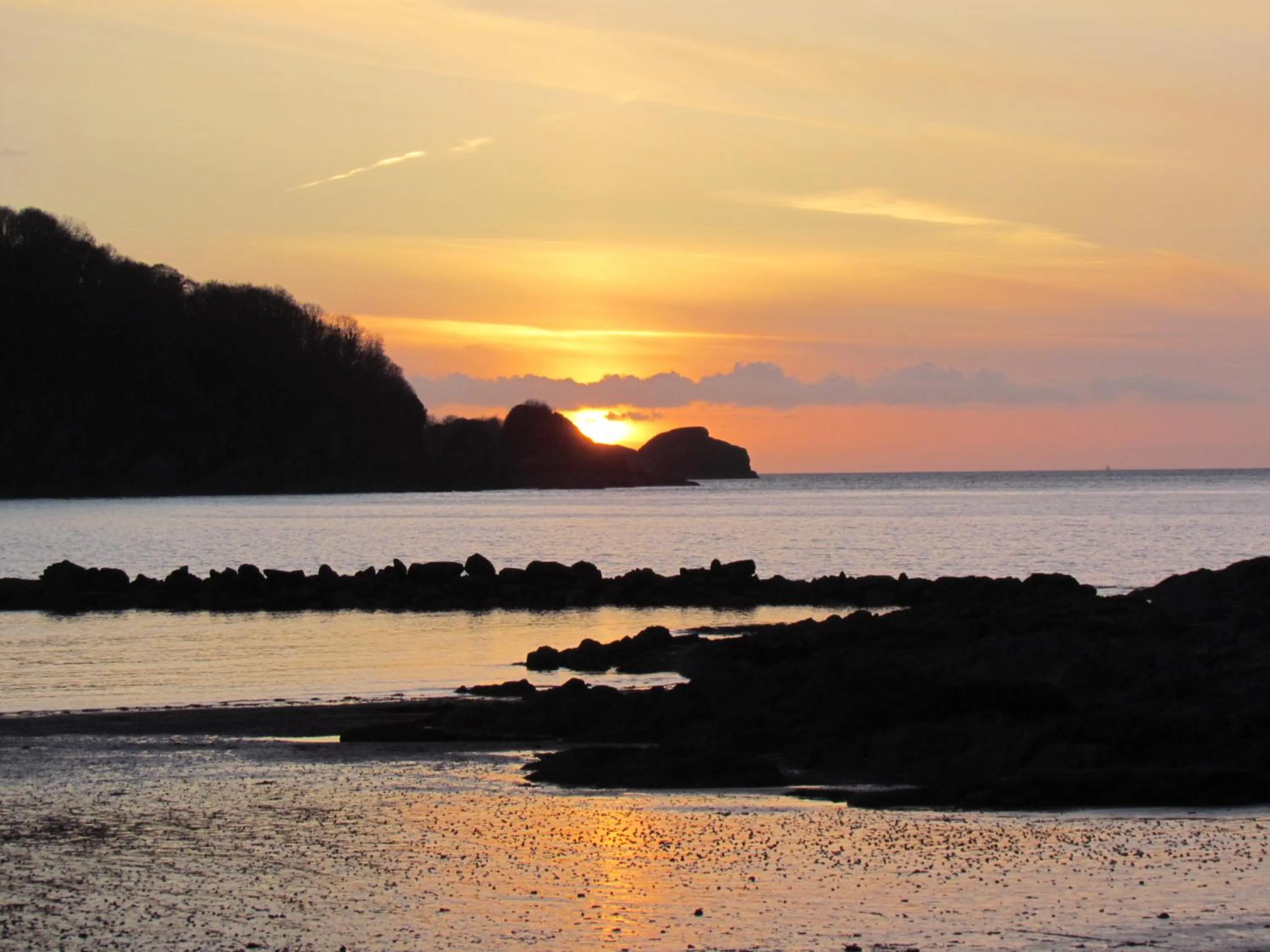Beach in Newberry Beach lodge
