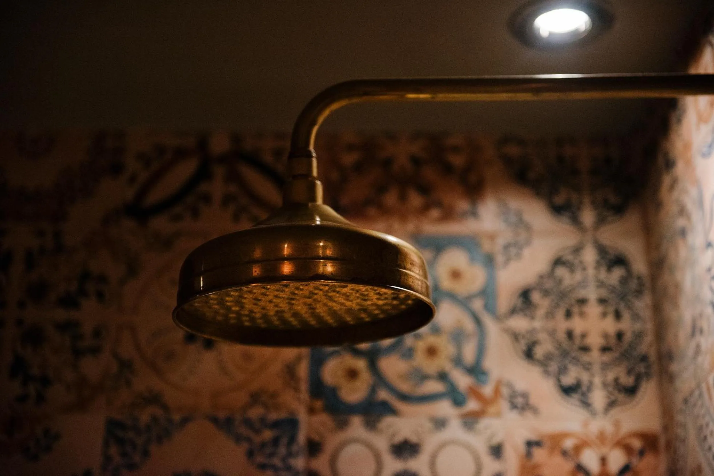 Shower in Le Petit Chateau & William de Percy