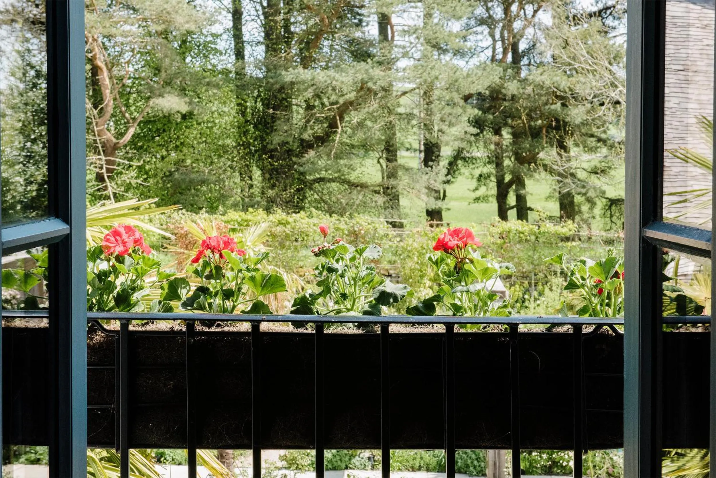 Spring in Le Petit Chateau & William de Percy