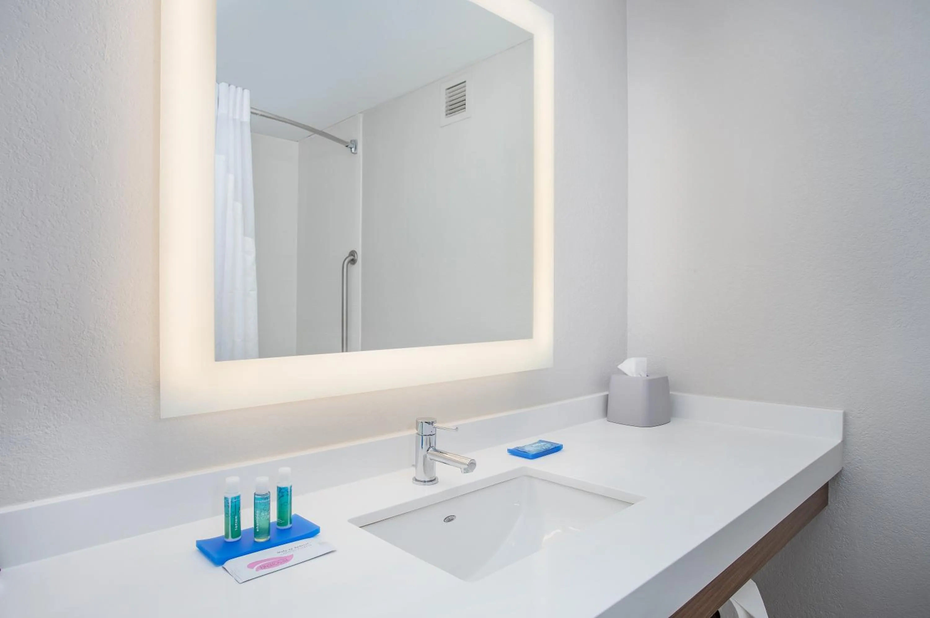 Bathroom in Holiday Inn Express & Suites Alcoa Knoxville Airport by IHG