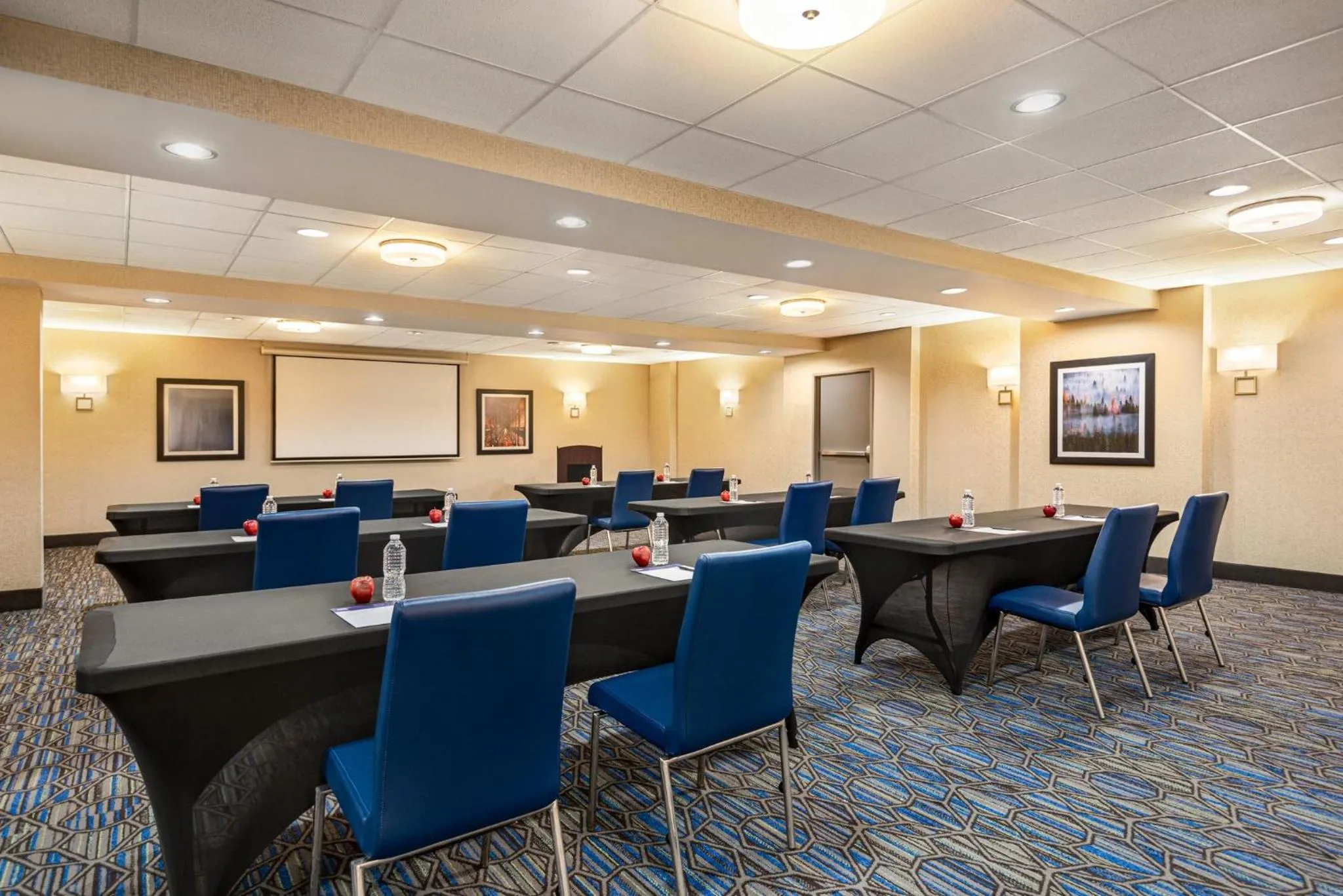 Meeting/conference room in Holiday Inn Express Hotel & Suites Fredericksburg by IHG