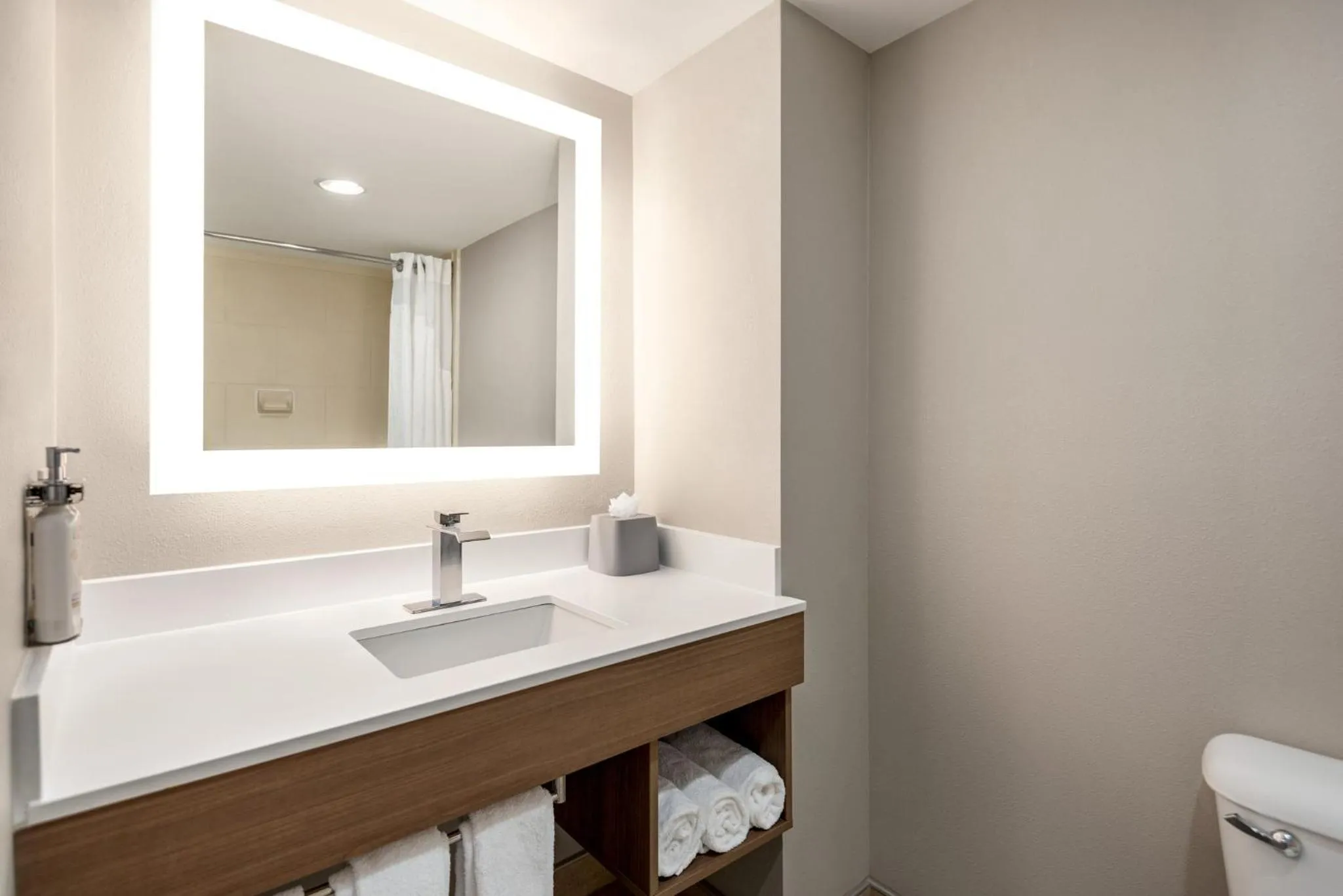 Bathroom in Holiday Inn Express Hotel & Suites Fredericksburg by IHG