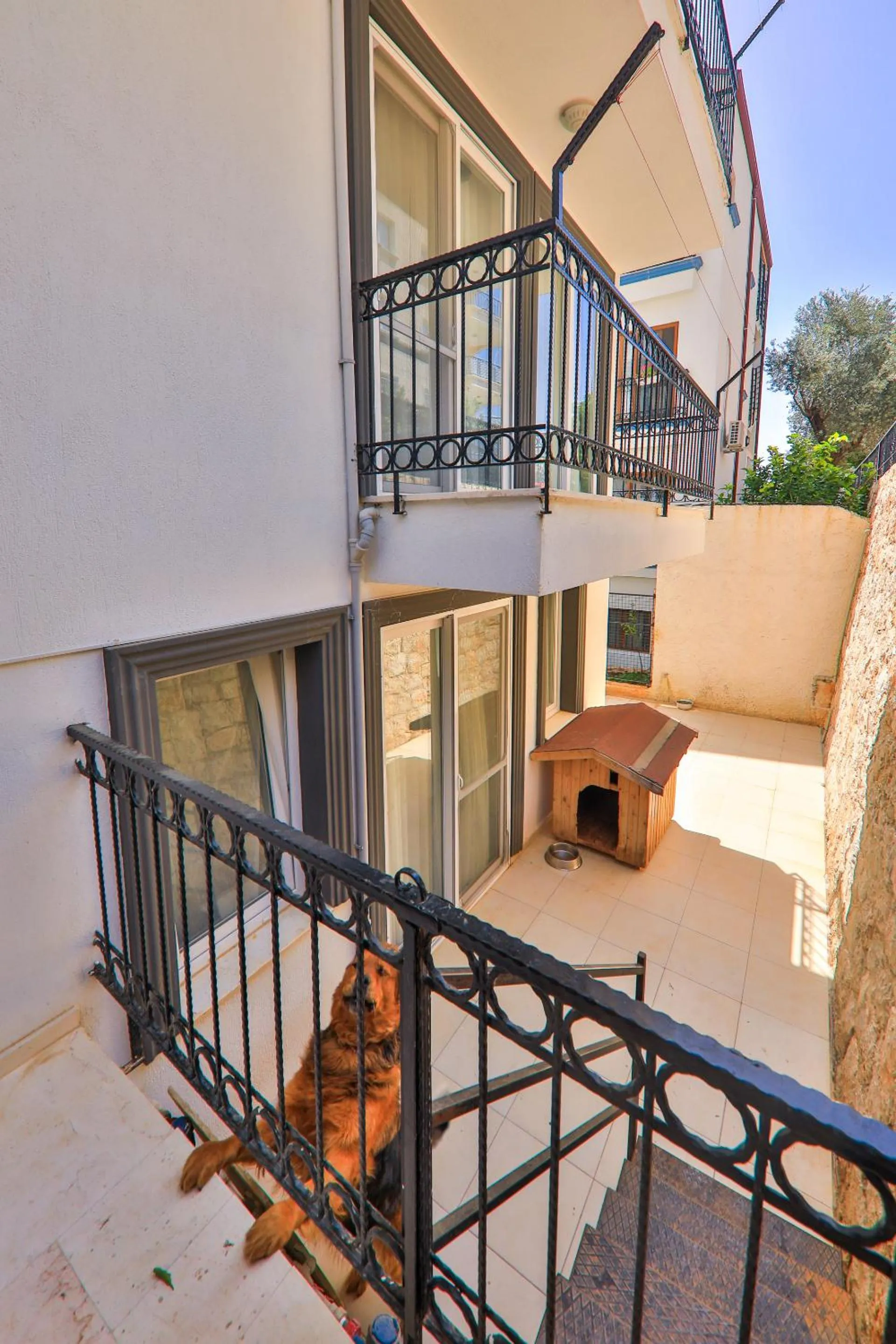 View (from property/room) in Duygu Apart