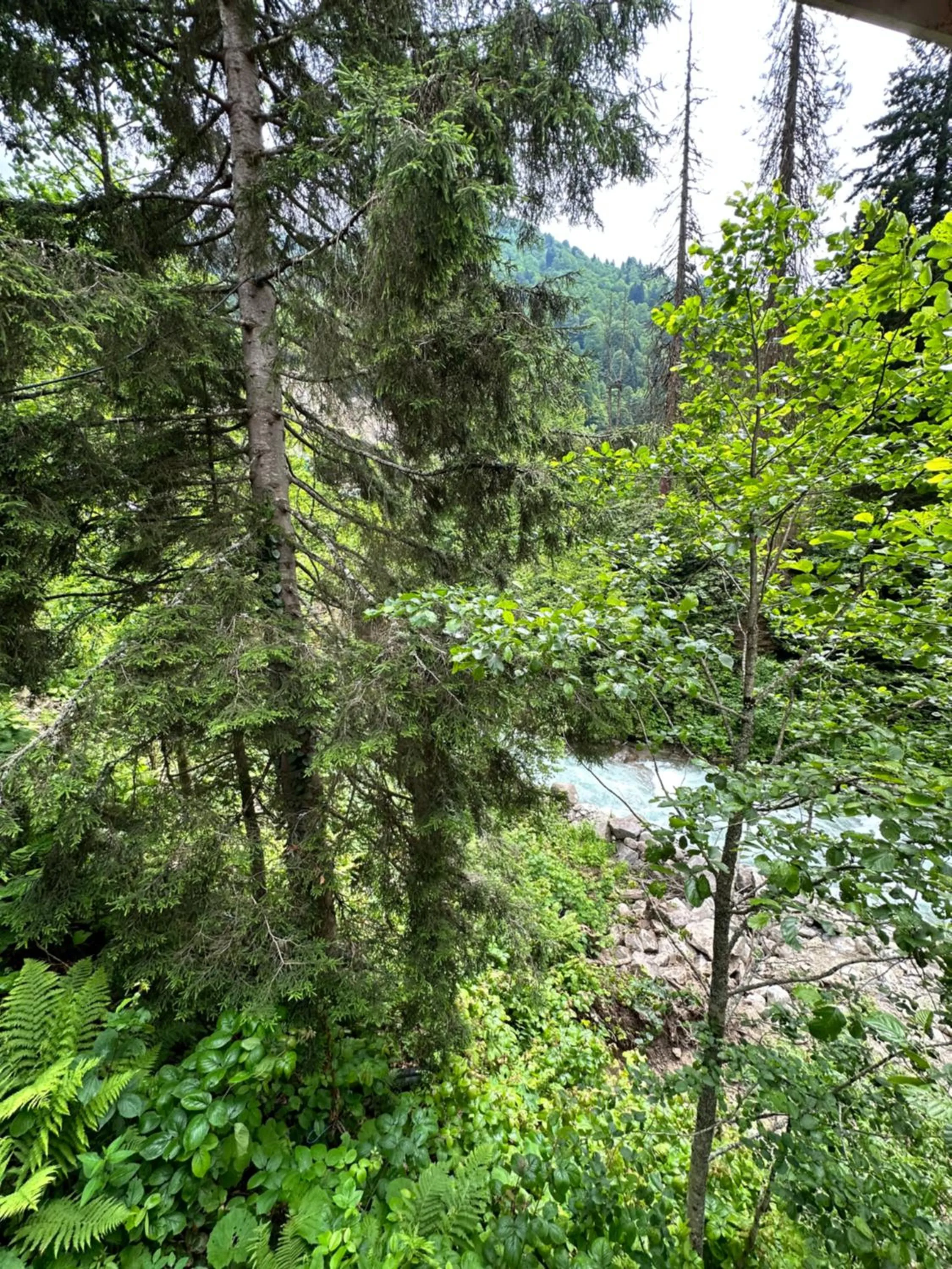 Day in Ayder Villa Gencal