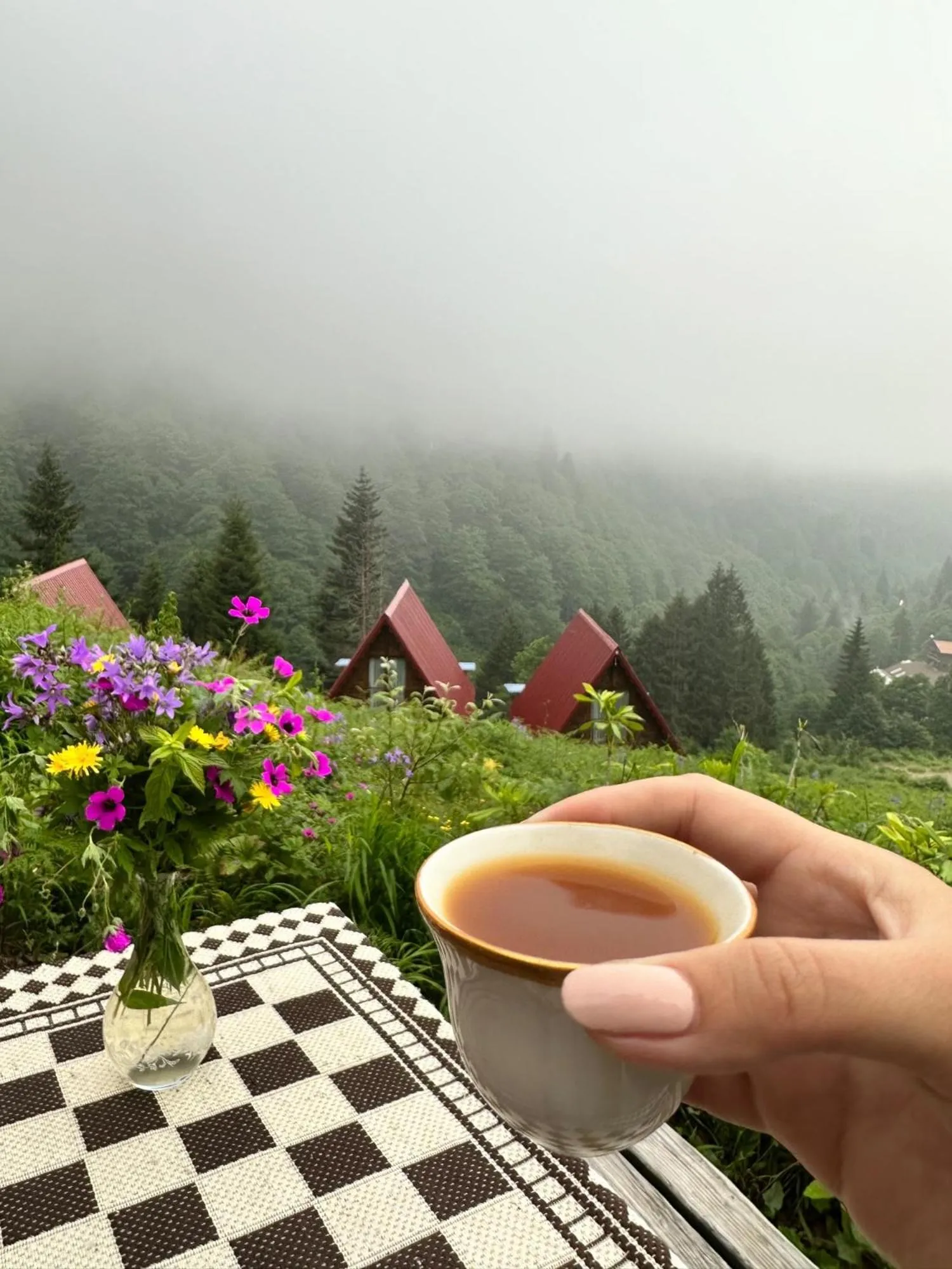 Day in Ayder Villa Gencal