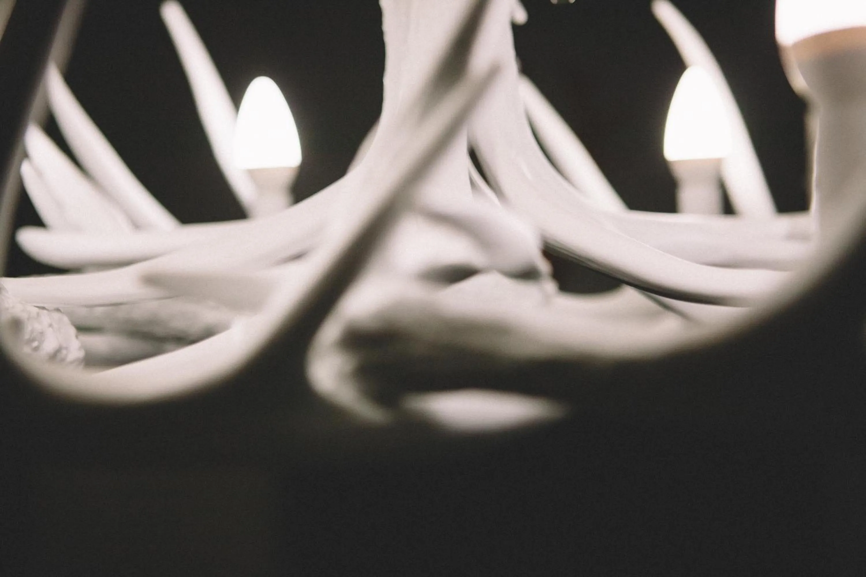 Other in The Stag at Stow