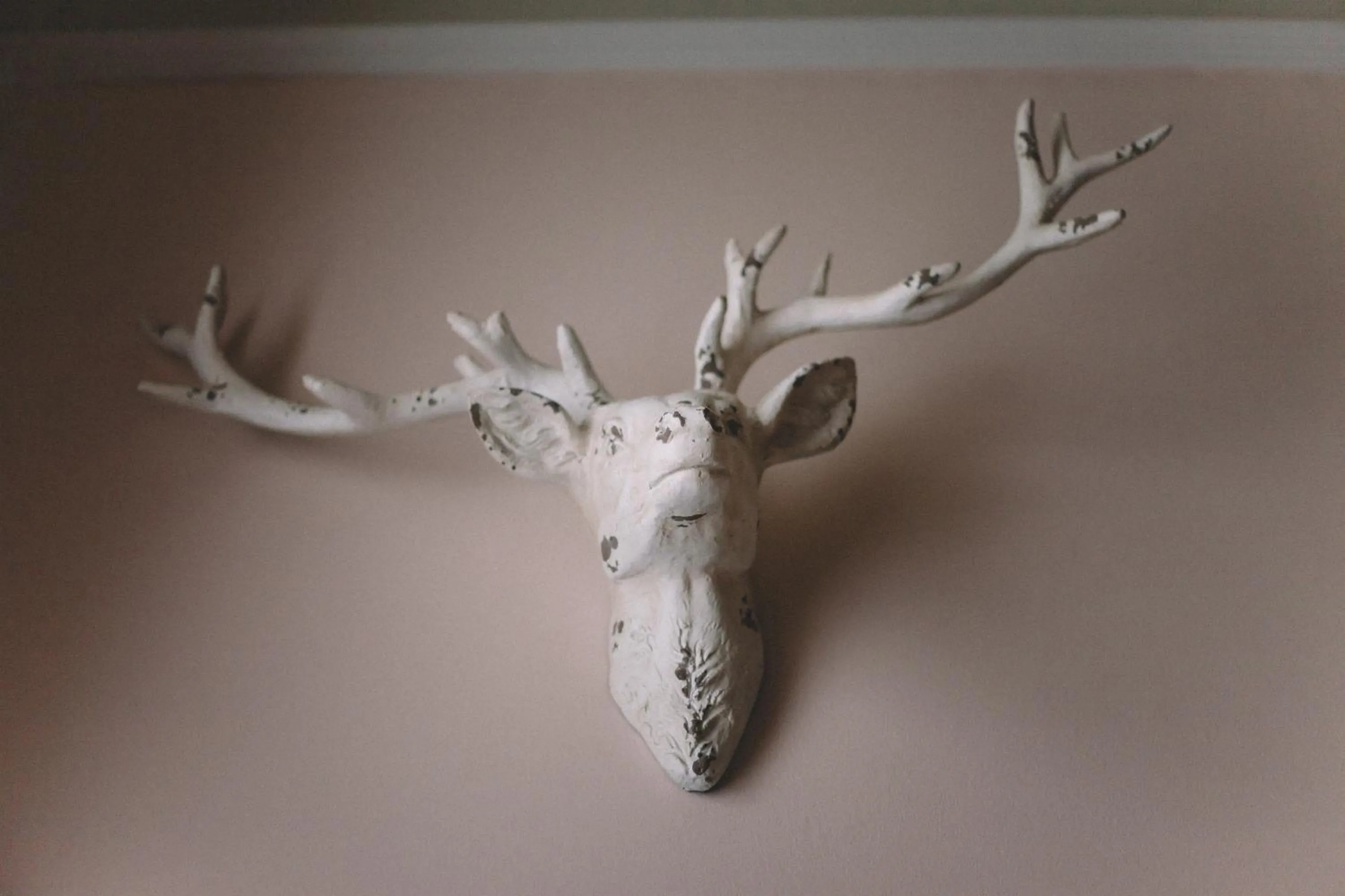 Decorative detail in The Stag at Stow