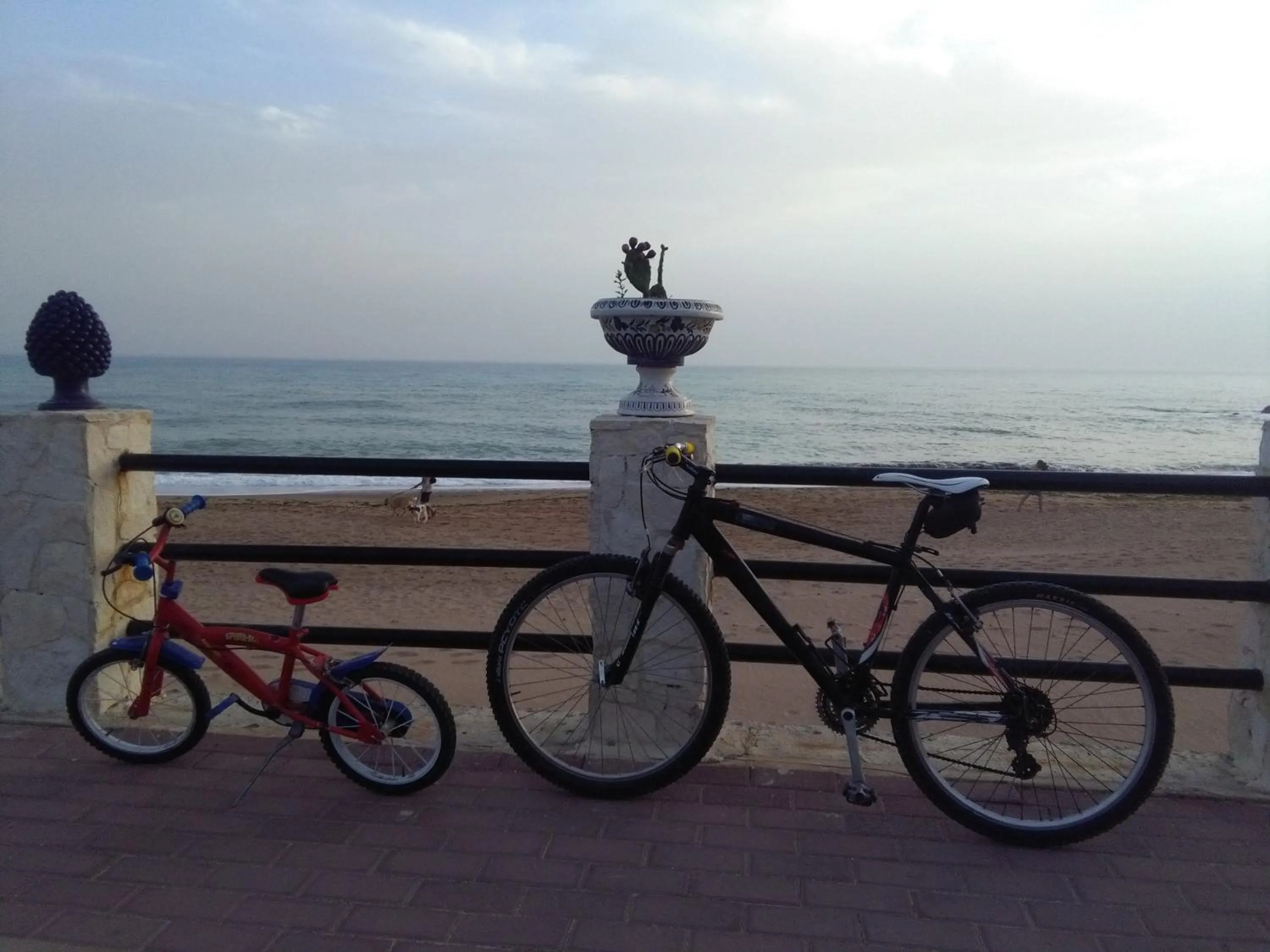 Activities in B&B Salita Metello