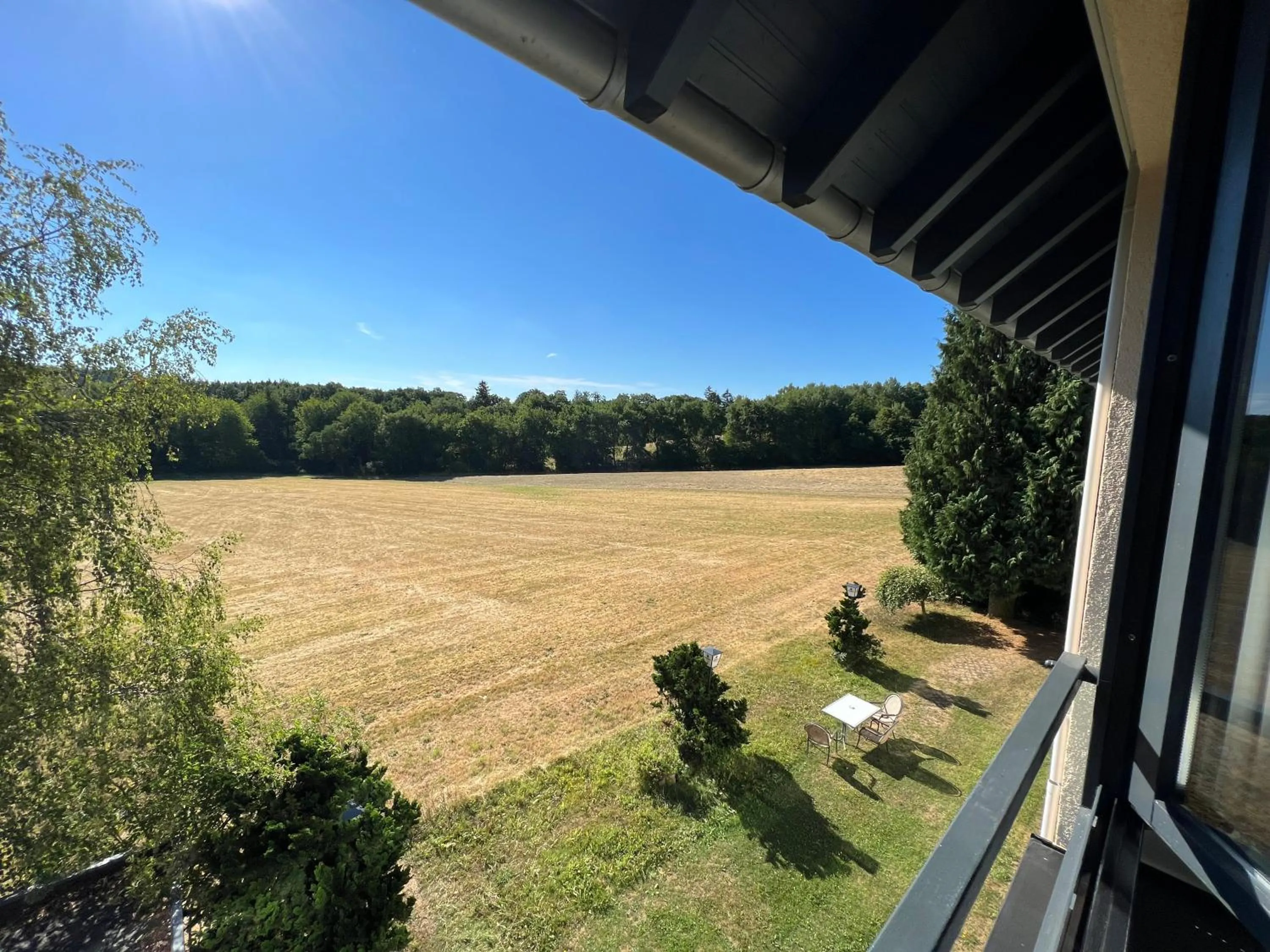 View (from property/room) in Hotel Am Tiergarten