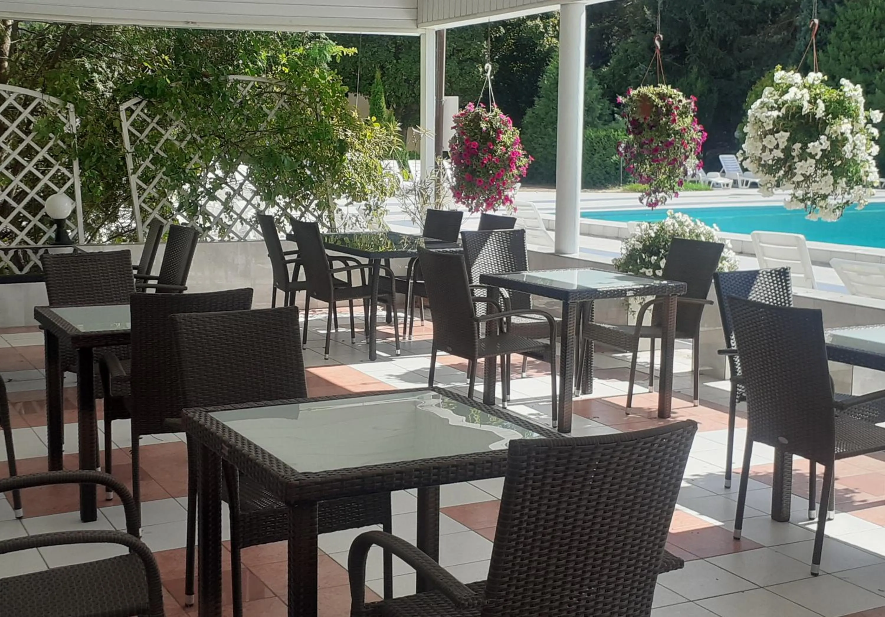 Swimming pool in Hotel Ambasador Chojny