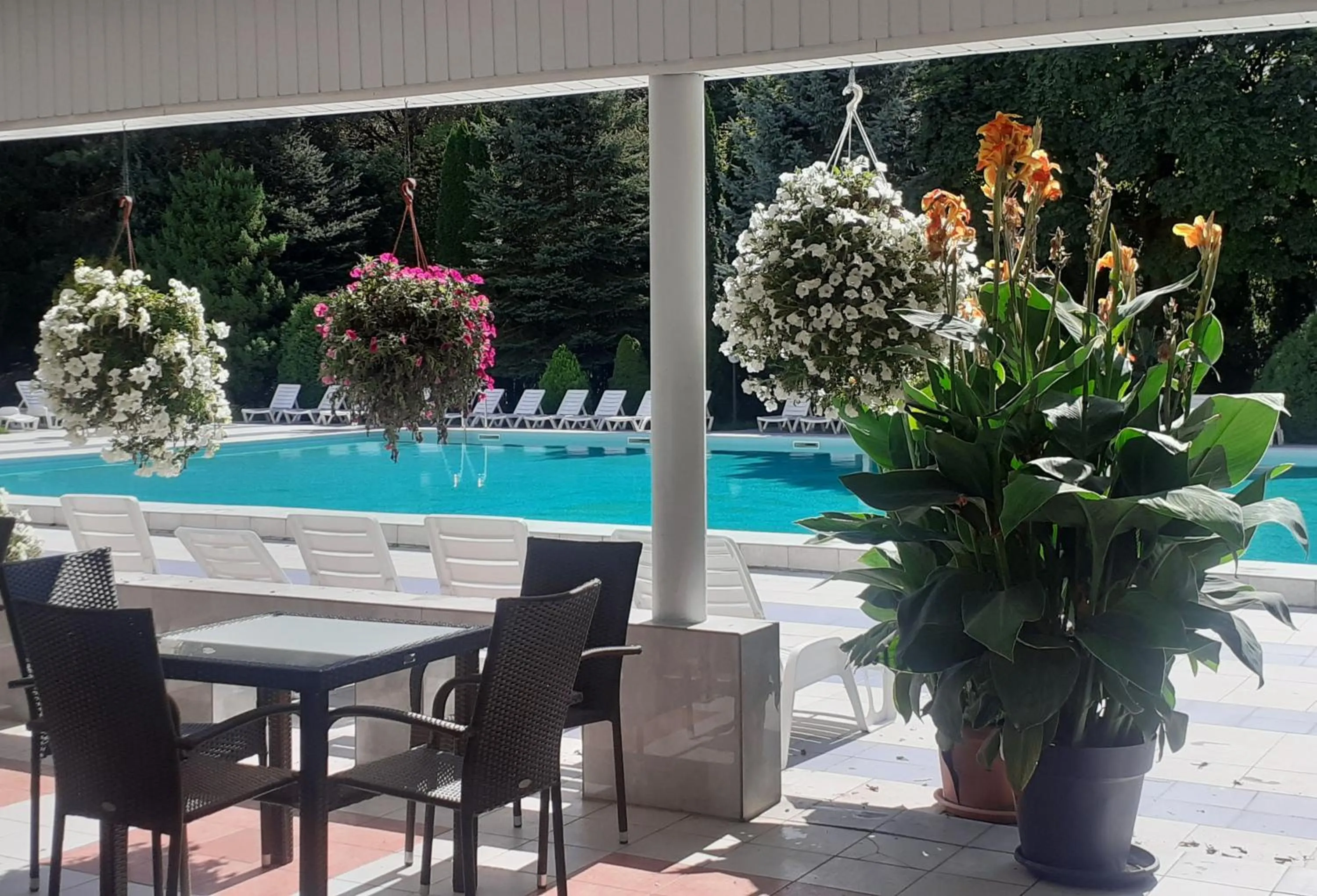 Swimming pool in Hotel Ambasador Chojny