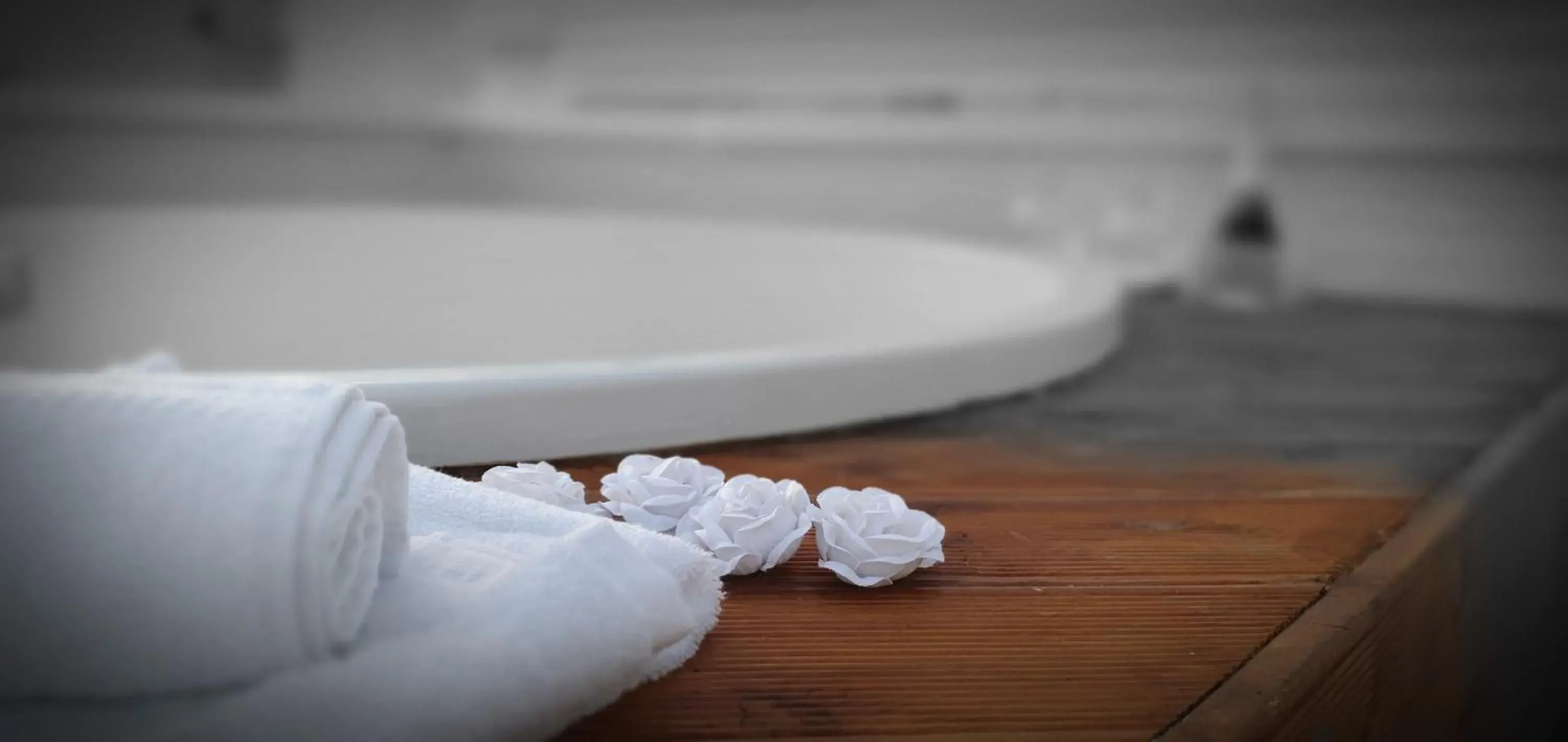 B&B Vanessa B&B Vanessa