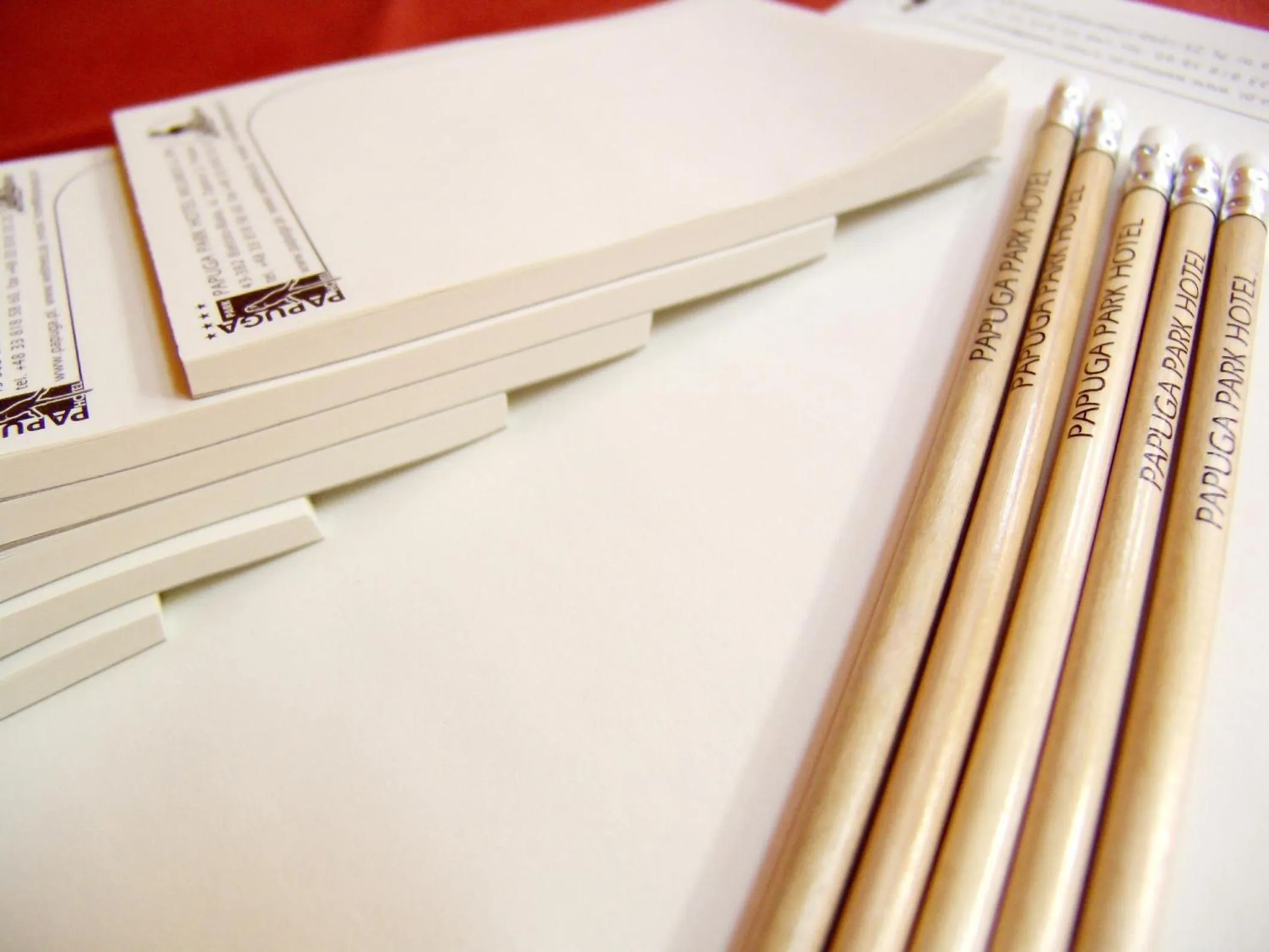 Business facilities in Papuga Park Hotel Wellness Marrakesz & SPA