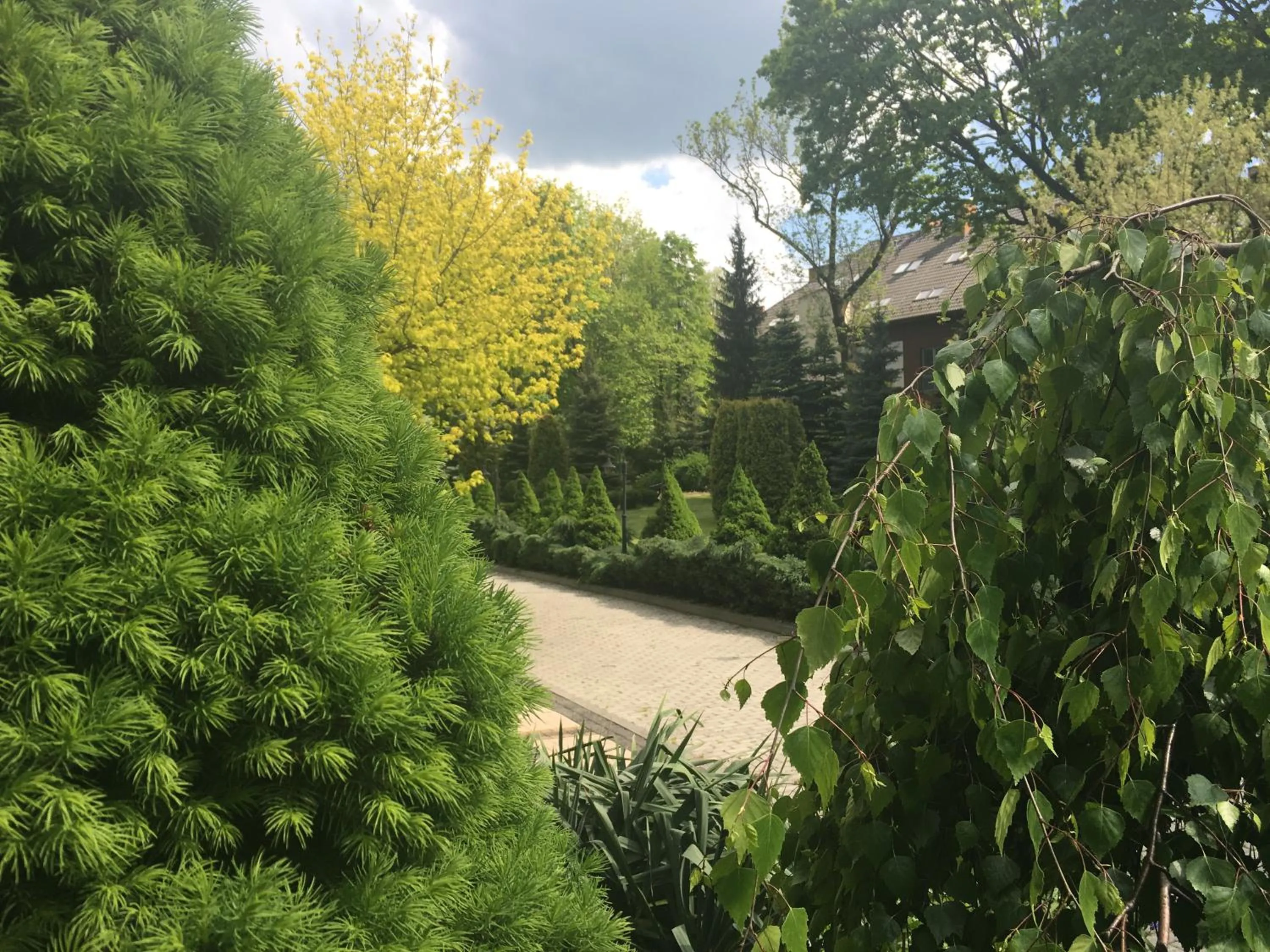 Day in Papuga Park Hotel Wellness Marrakesz & SPA