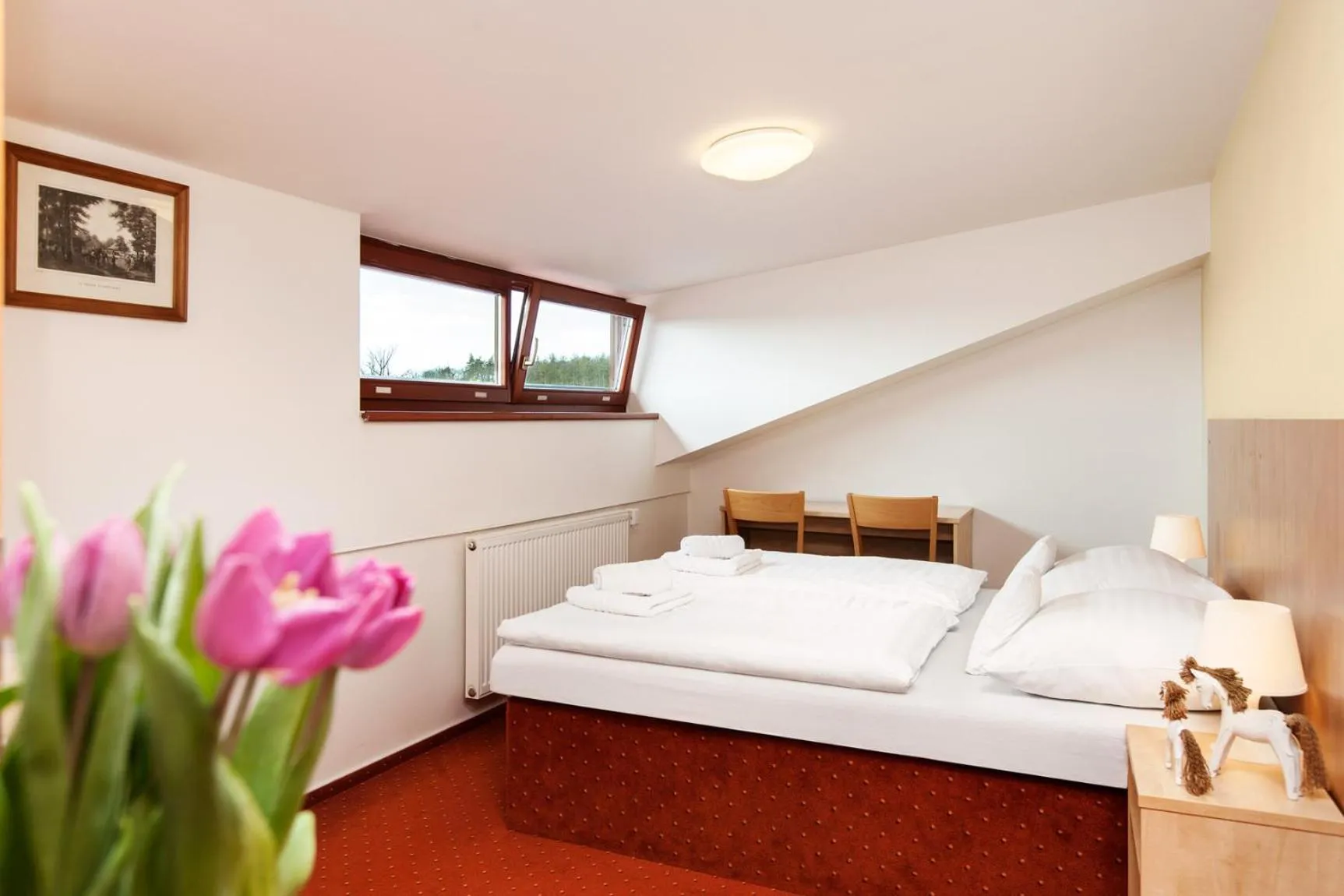 Bed in Hotel Panska Licha