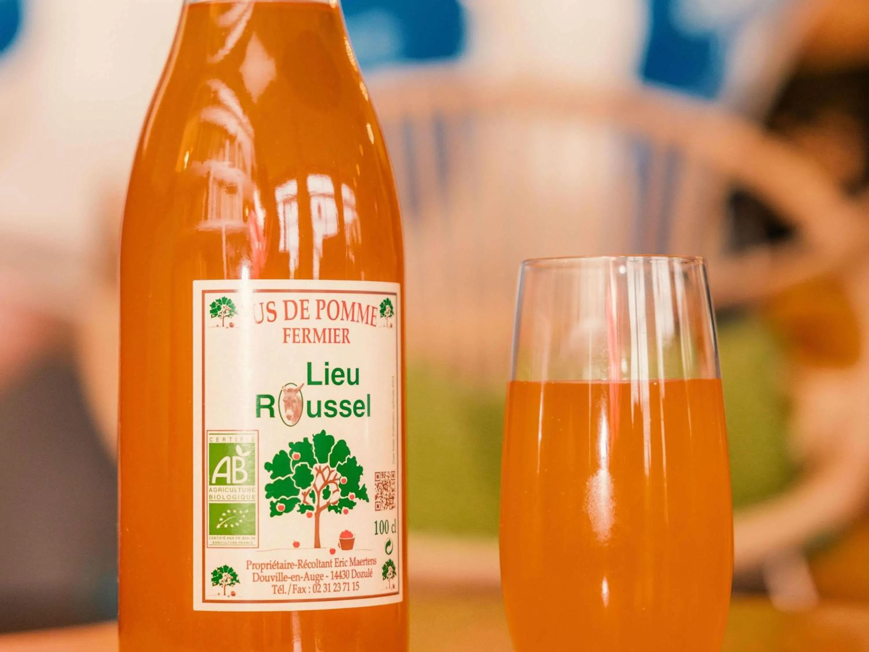 Lounge or bar in ibis Styles Deauville Villers Plage