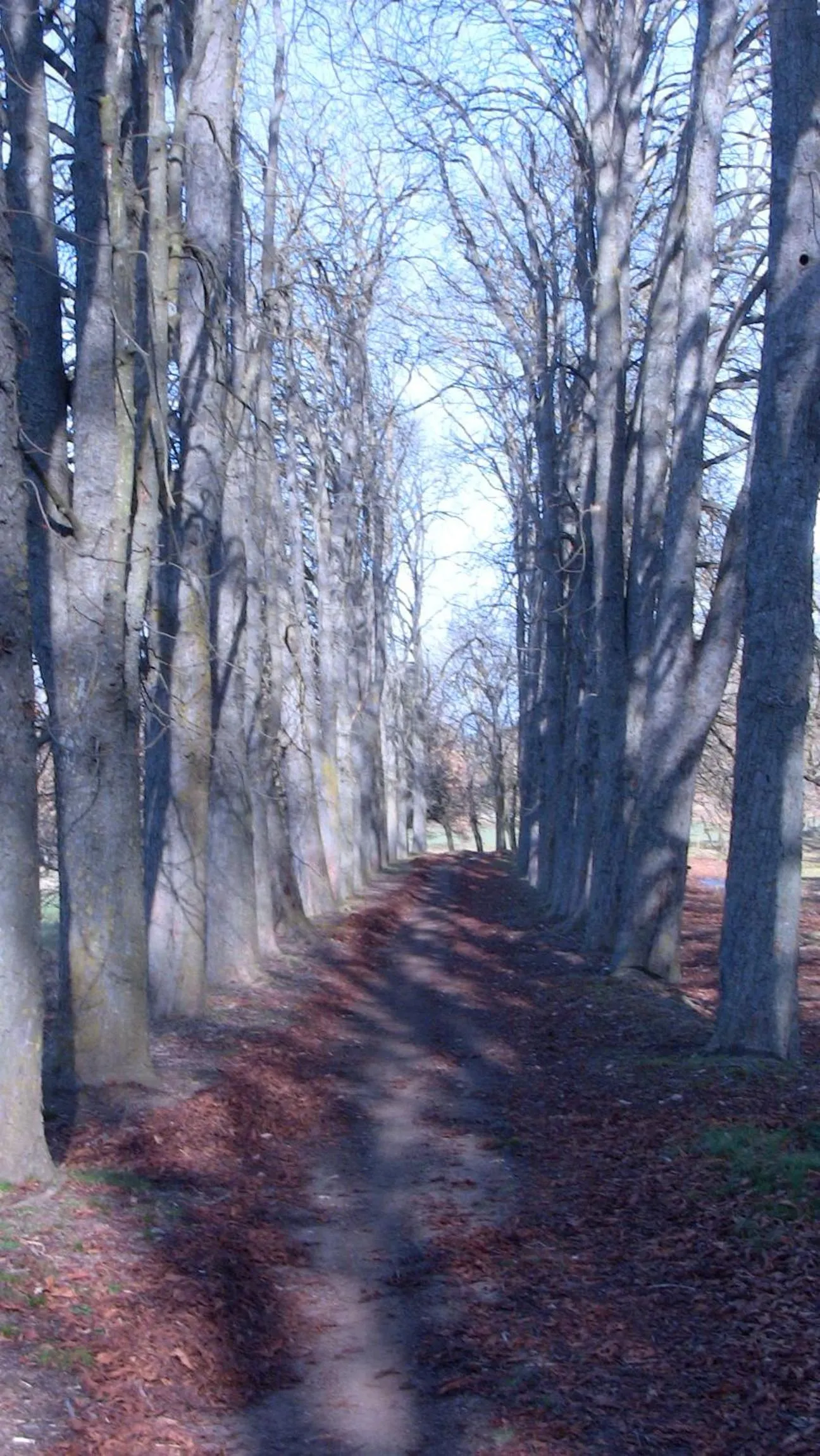 Hiking in Les Margarides