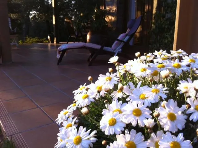 Garden in Les Margarides