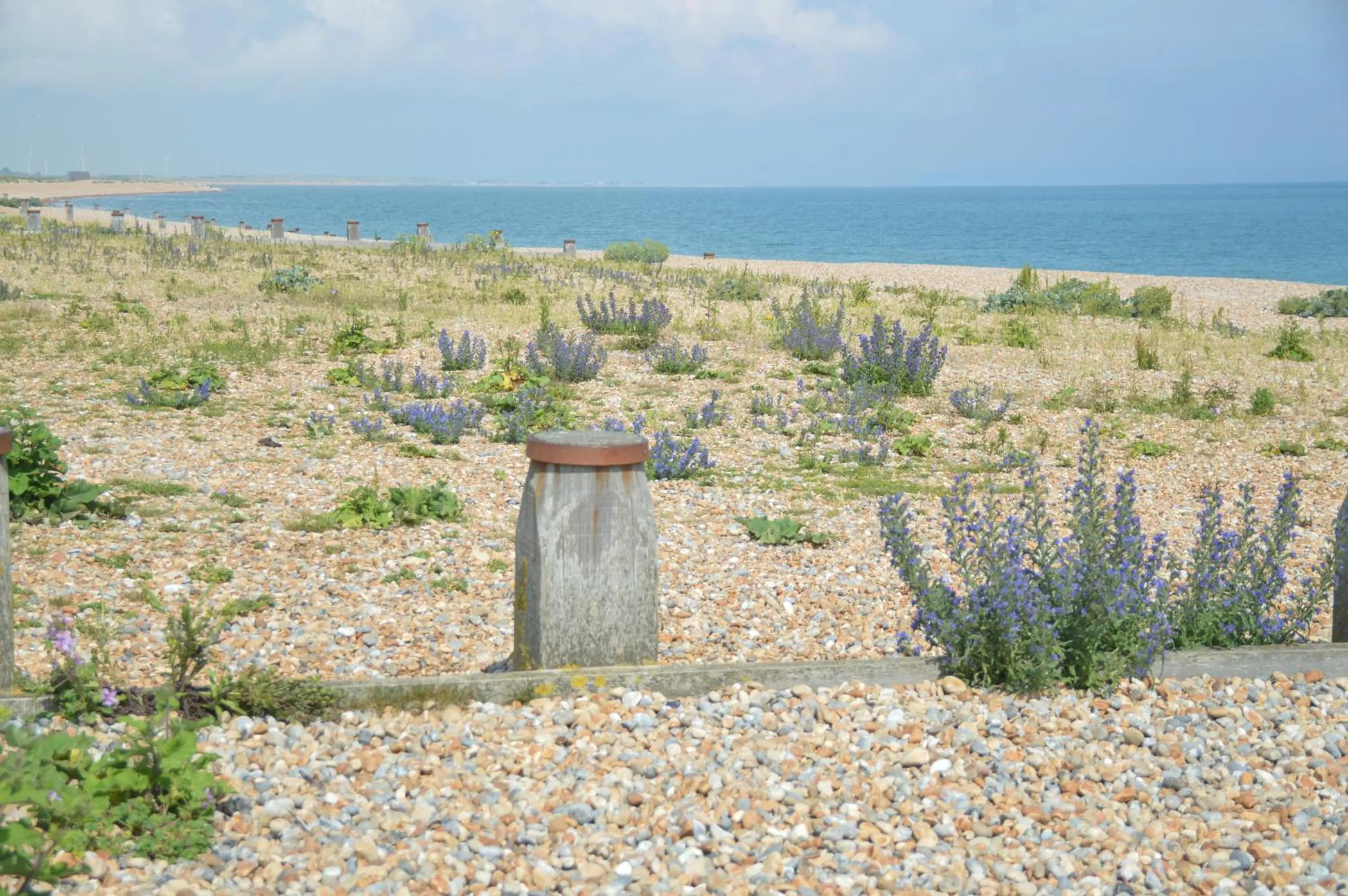 Nearby landmark in The Gem