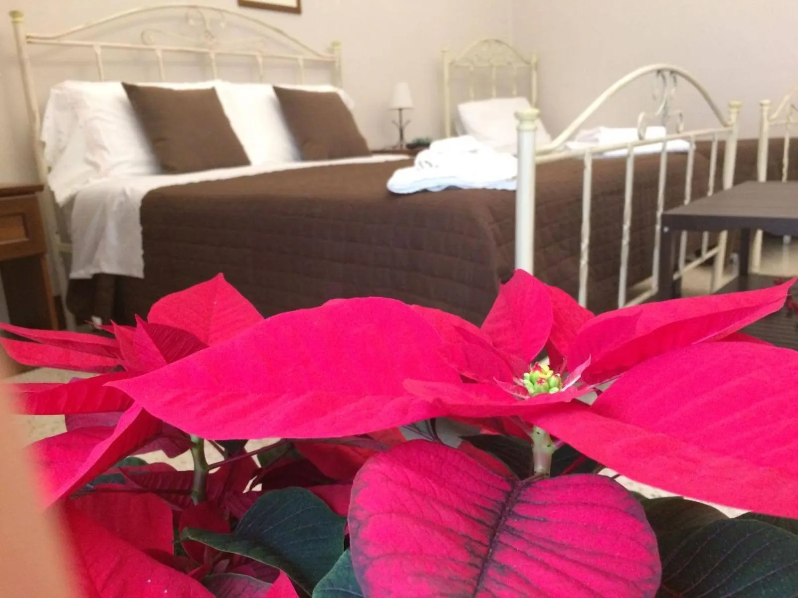 Photo of the whole room, Bed in Le Stanze dell'Emiro