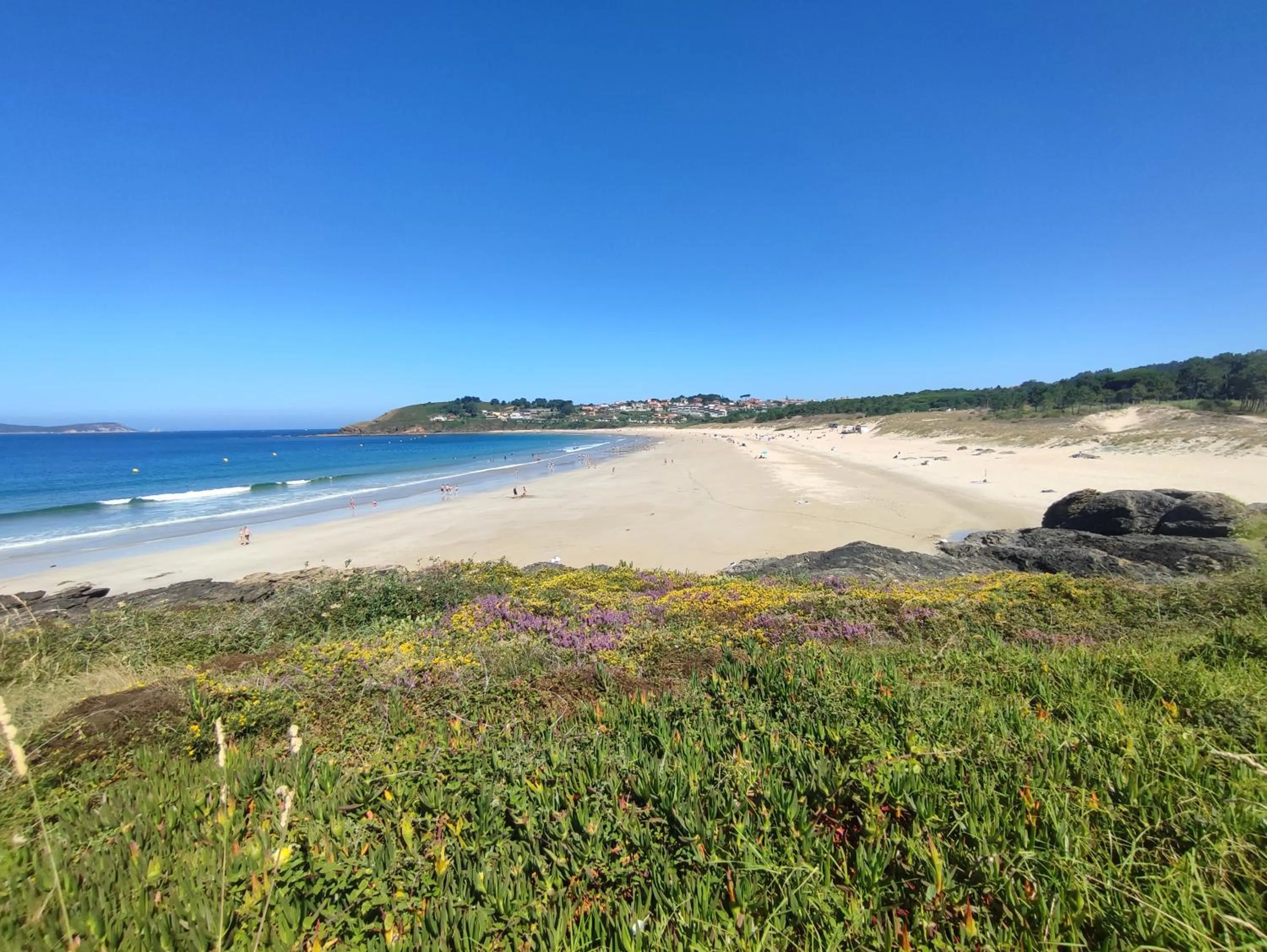 Beach in Apartamentos Marsil