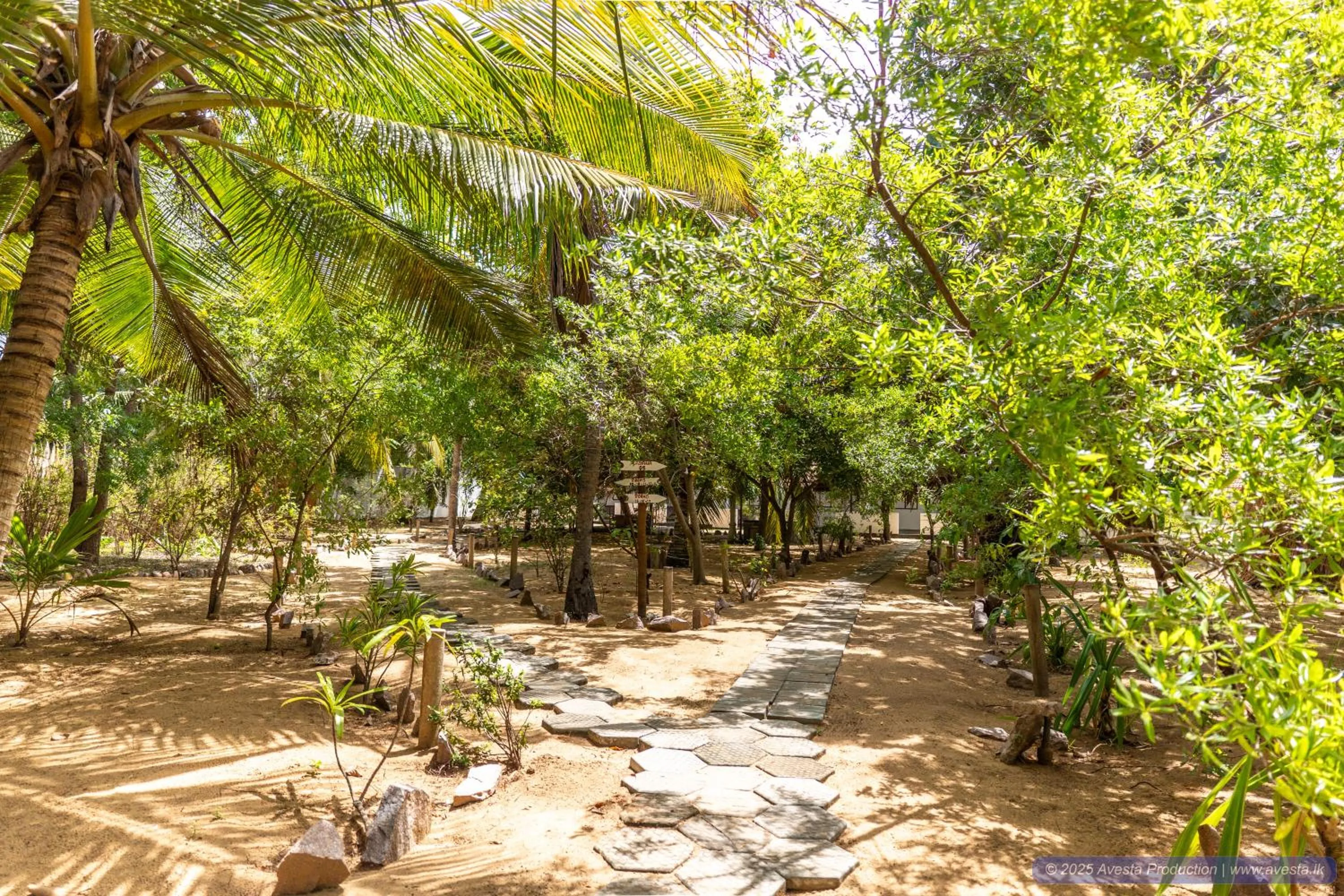 Natural landscape in Valampuri Kite Resort