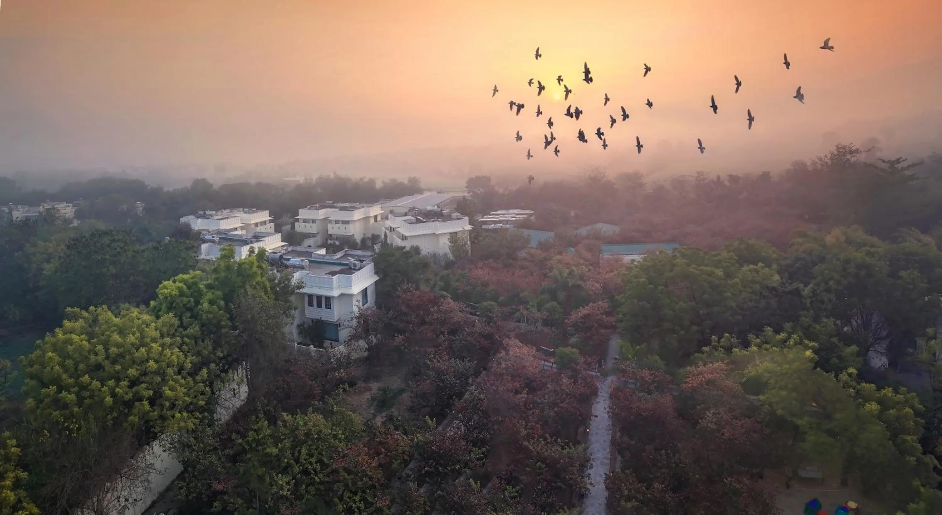 Bird's eye view in The Tigress, Ranthambore