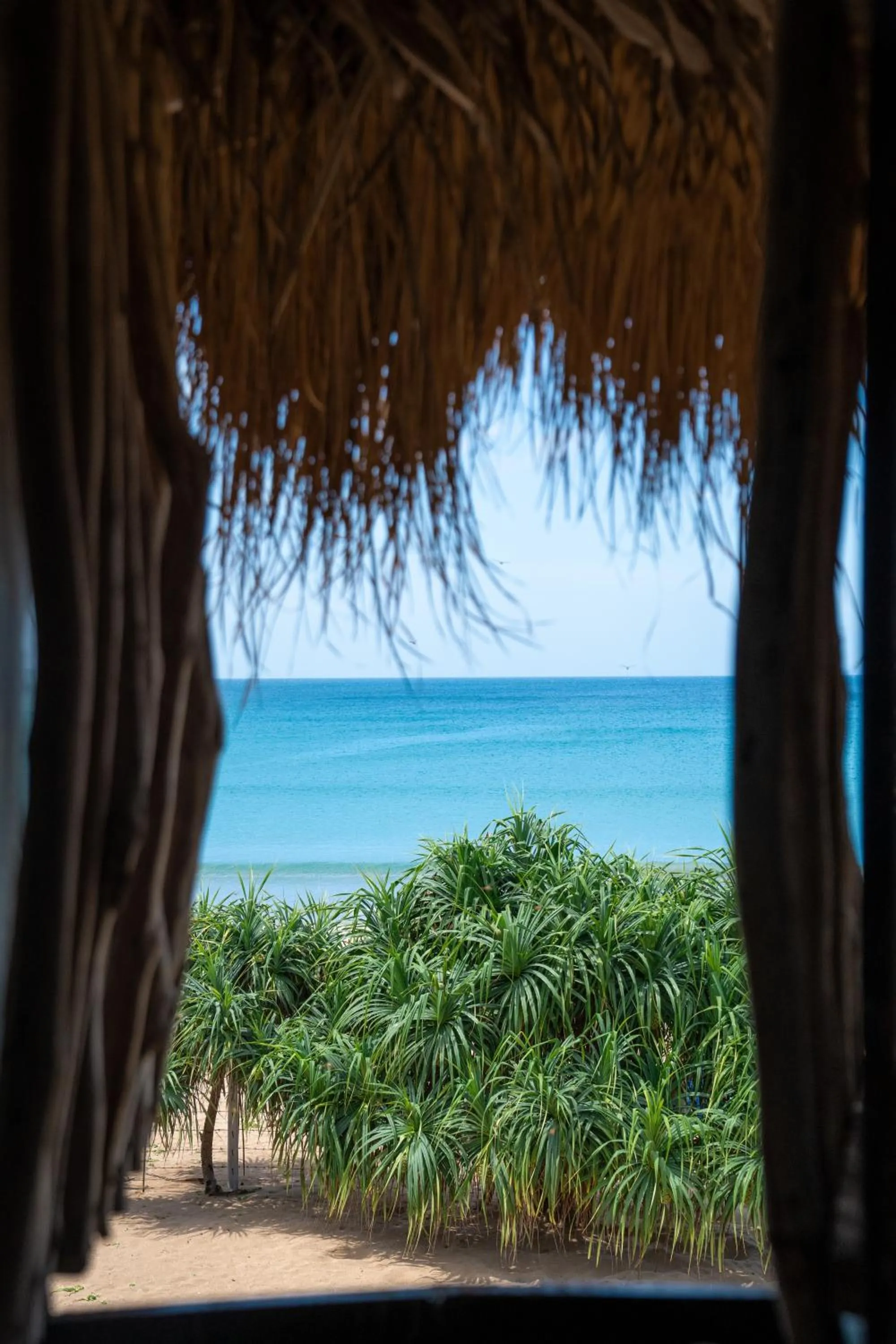 Restaurant/places to eat in Amanta Beach