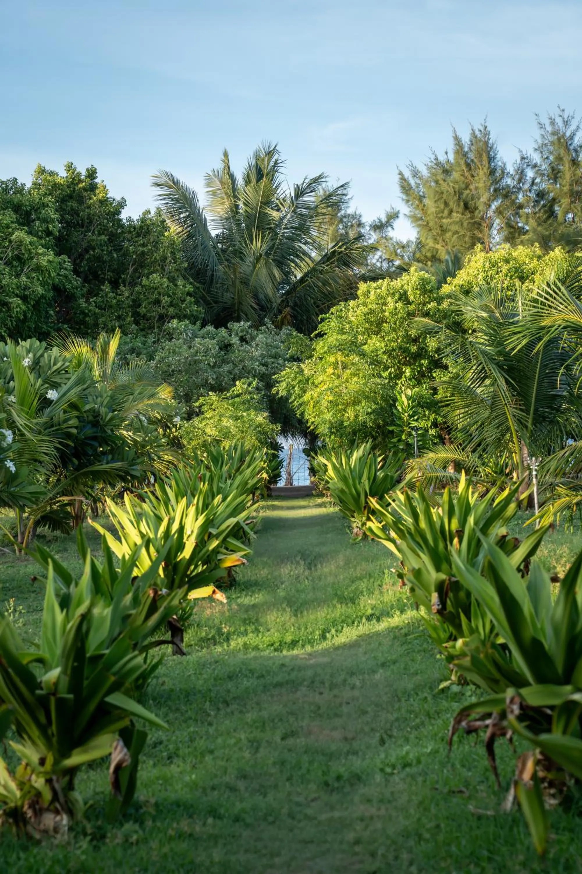 Garden in Amanta Beach