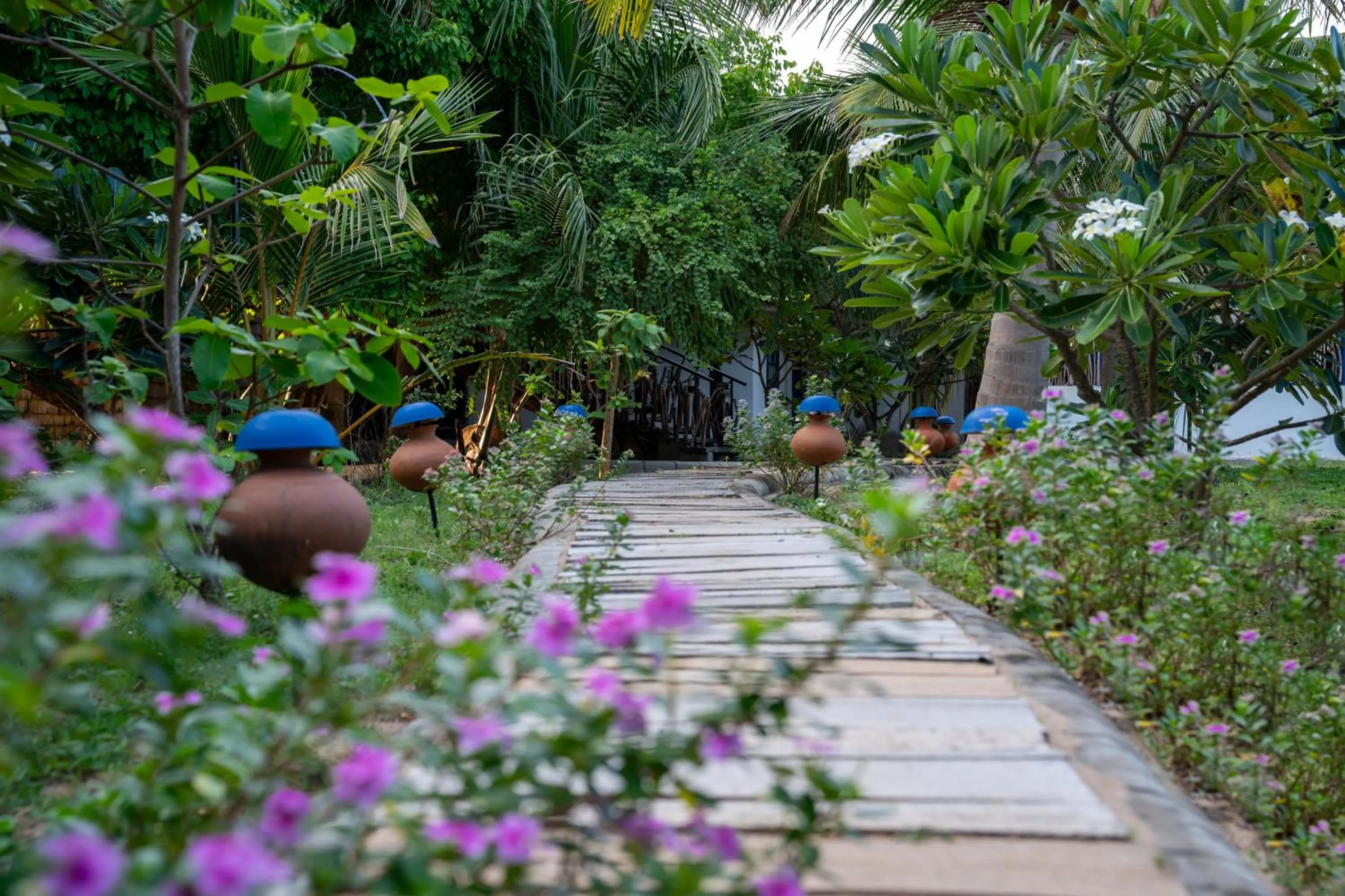 Garden in Amanta Beach