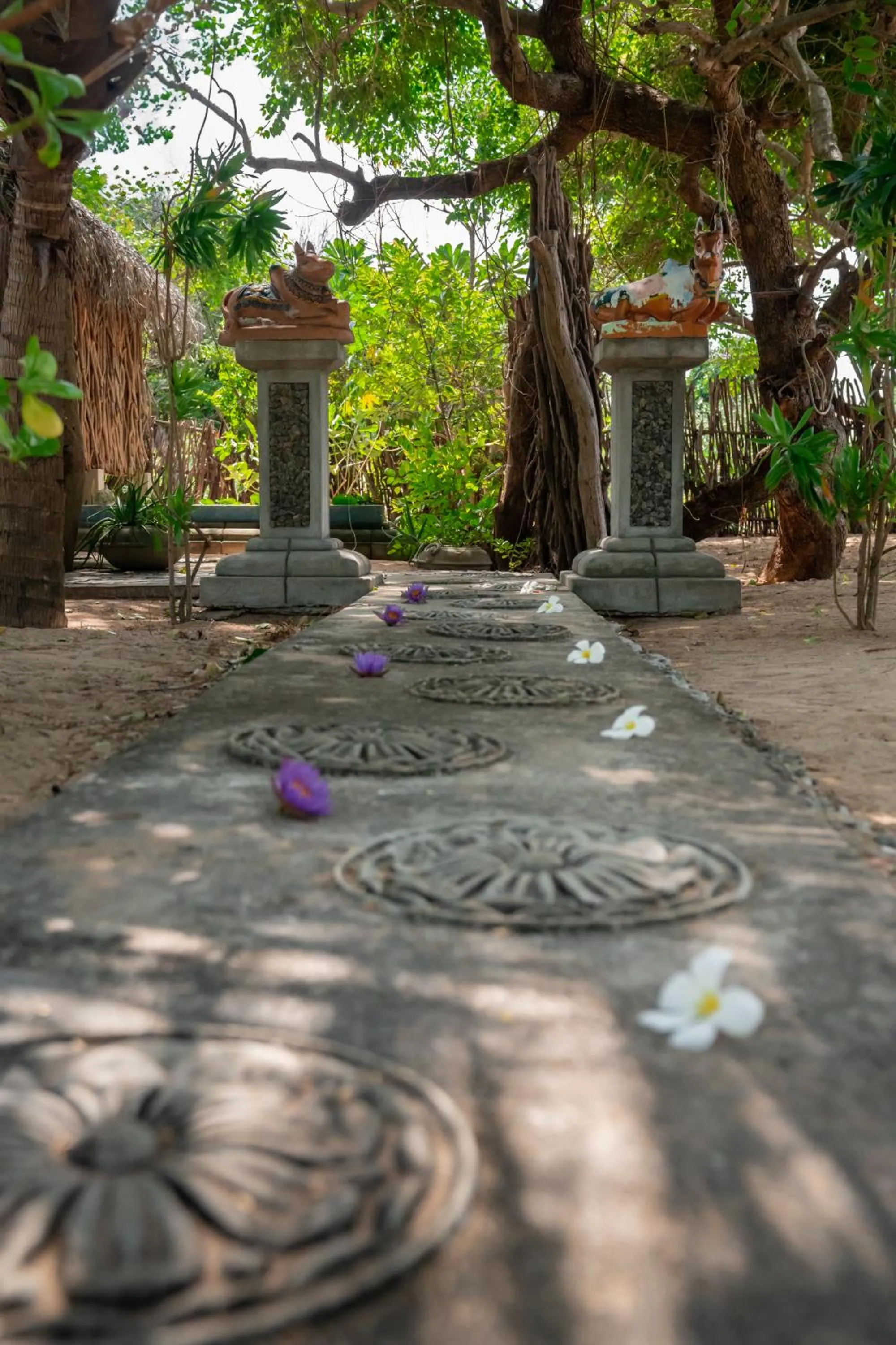 Garden in Amanta Beach