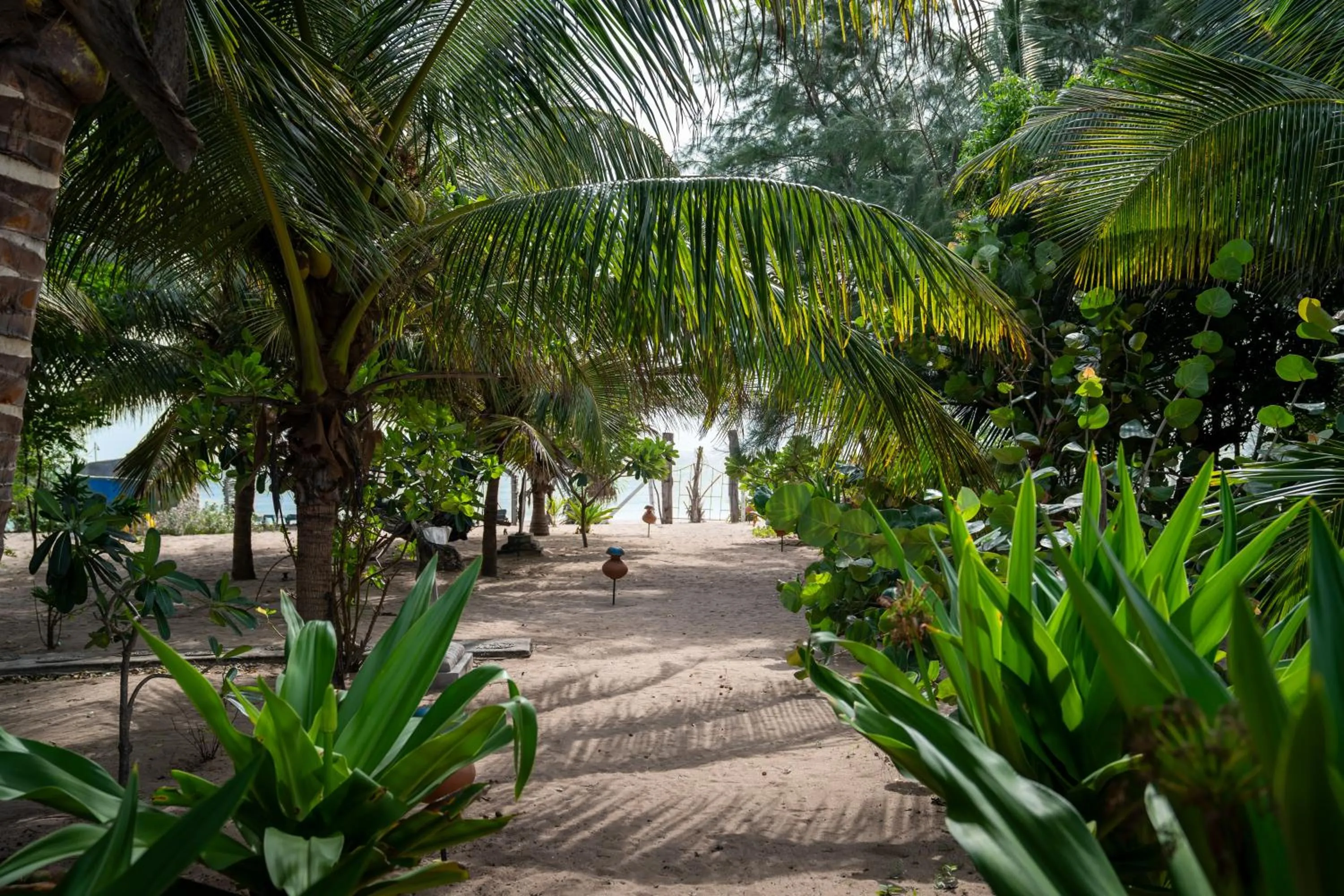 Garden in Amanta Beach