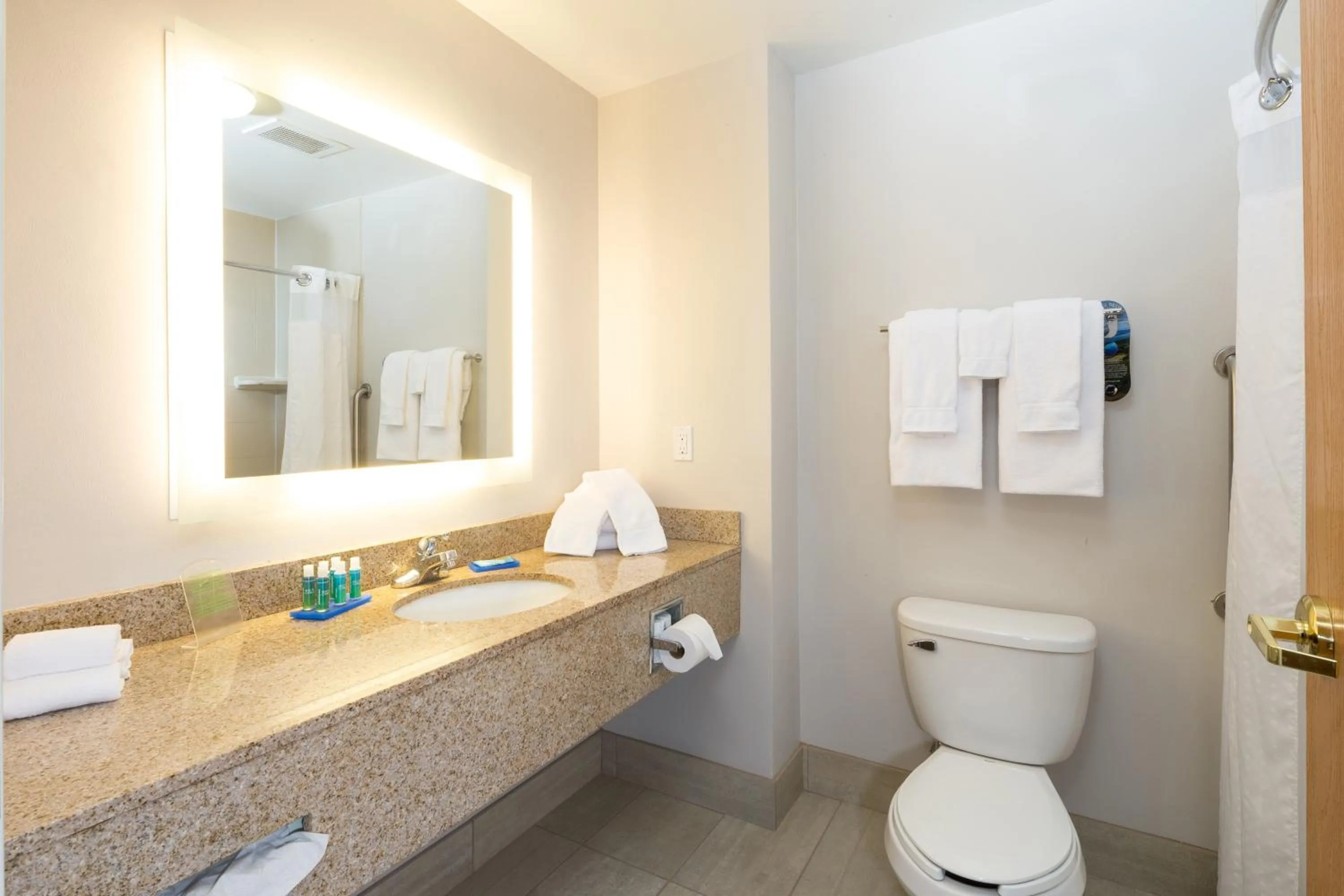 Bathroom in Holiday Inn Express Hotel & Suites Detroit-Utica by IHG