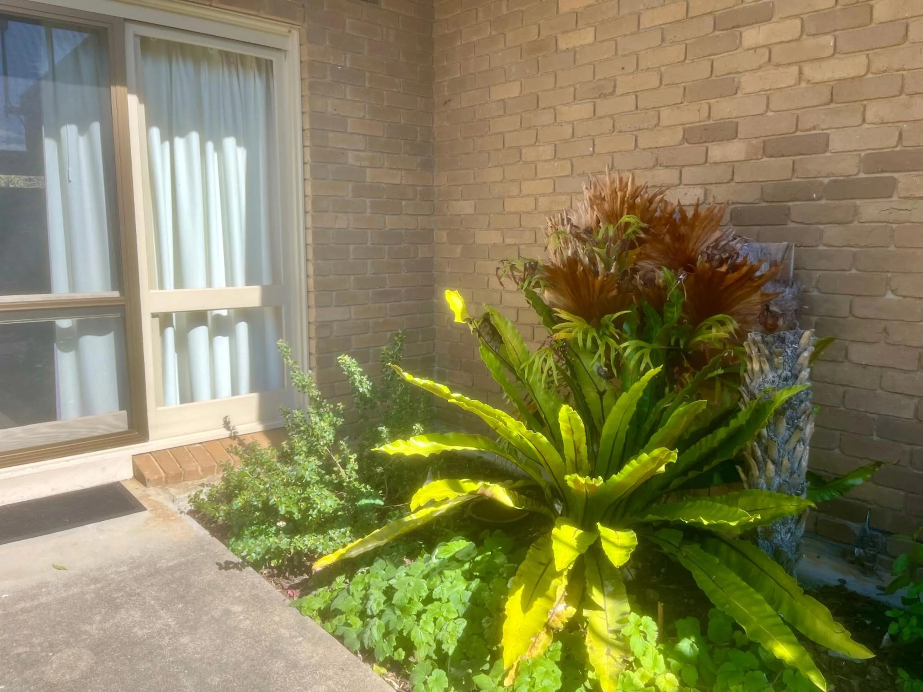 Facade/entrance in Gowings of Mallacoota