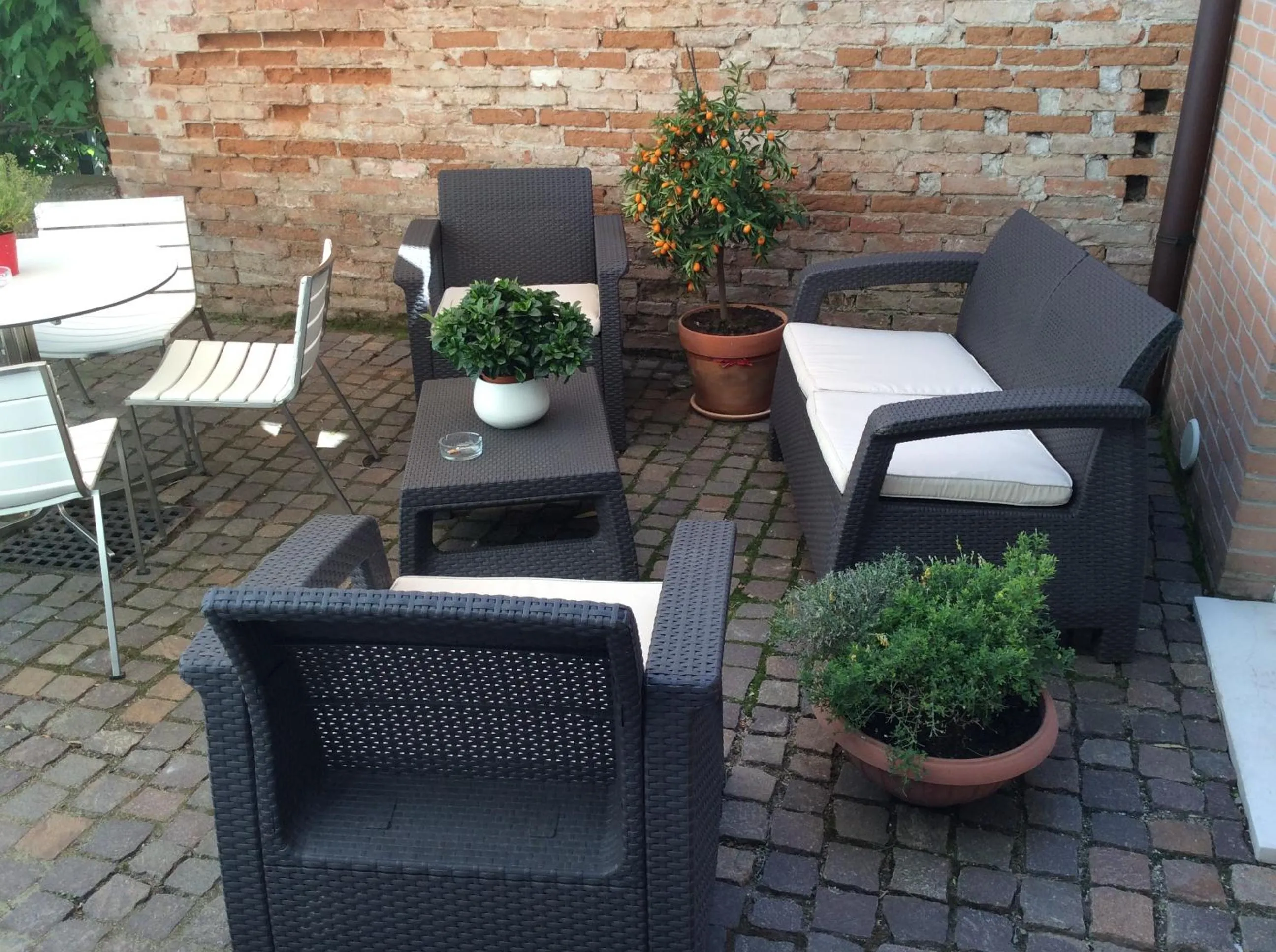 Garden in 15.92 Hotel