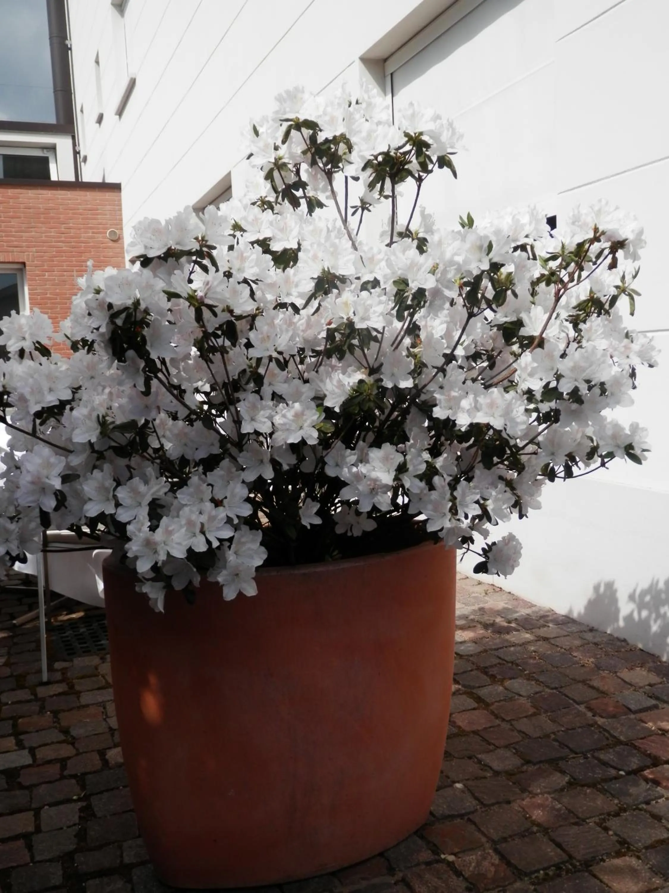 Spring in 15.92 Hotel