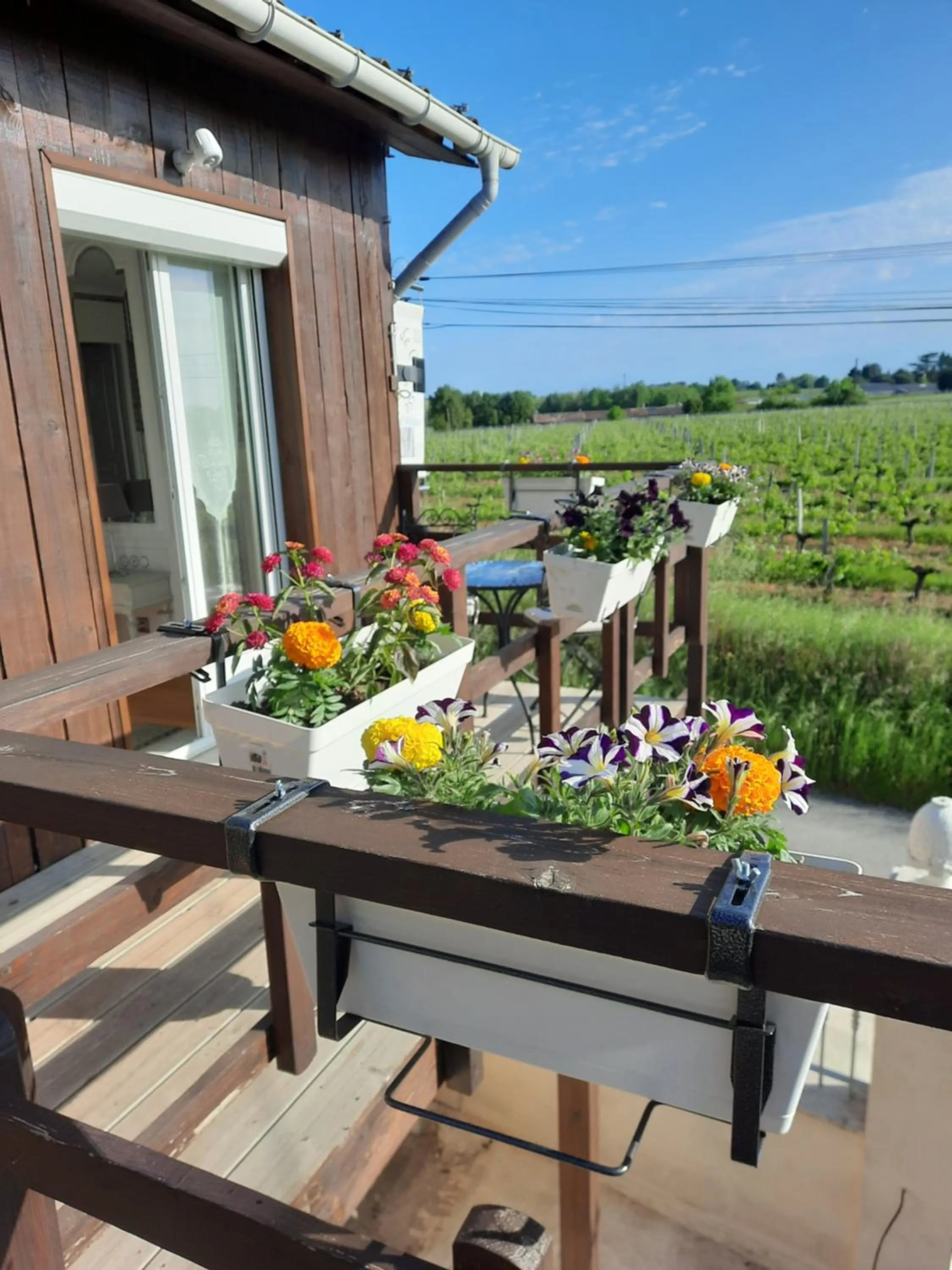 Le Domaine de Canesse