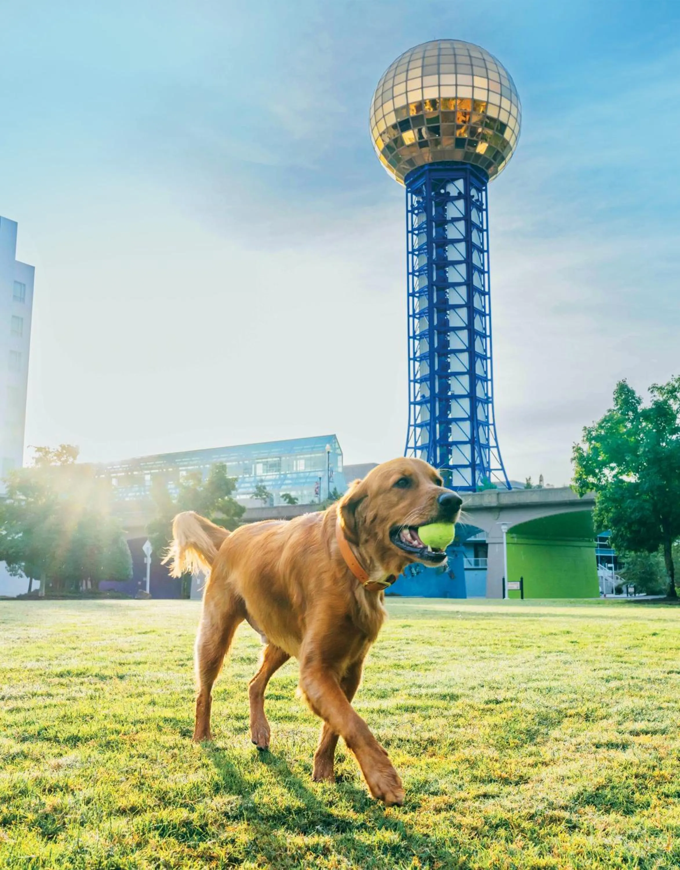 Nearby landmark in Crowne Plaza Knoxville Downtown University by IHG