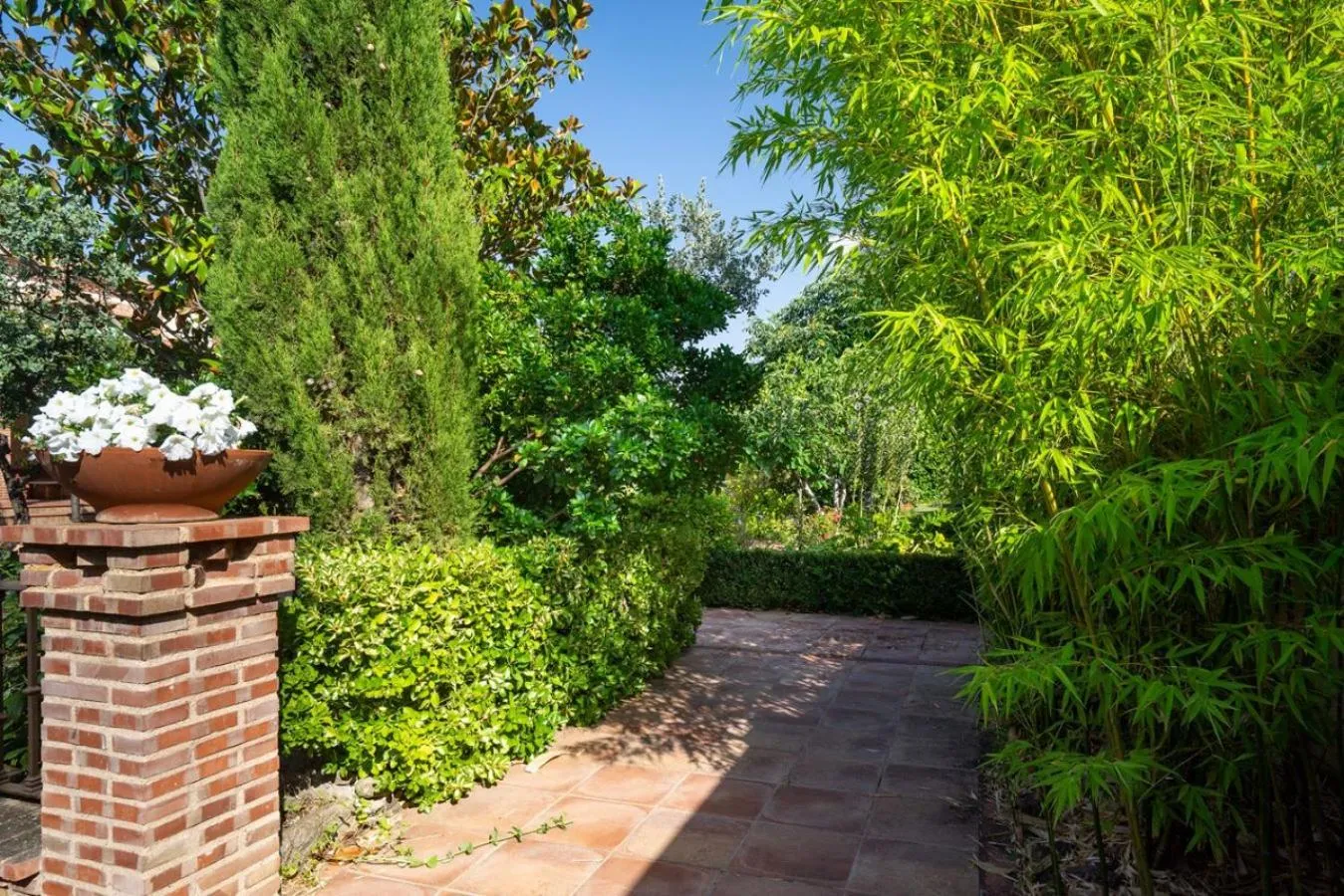 Garden view in Villa Marín Toledo