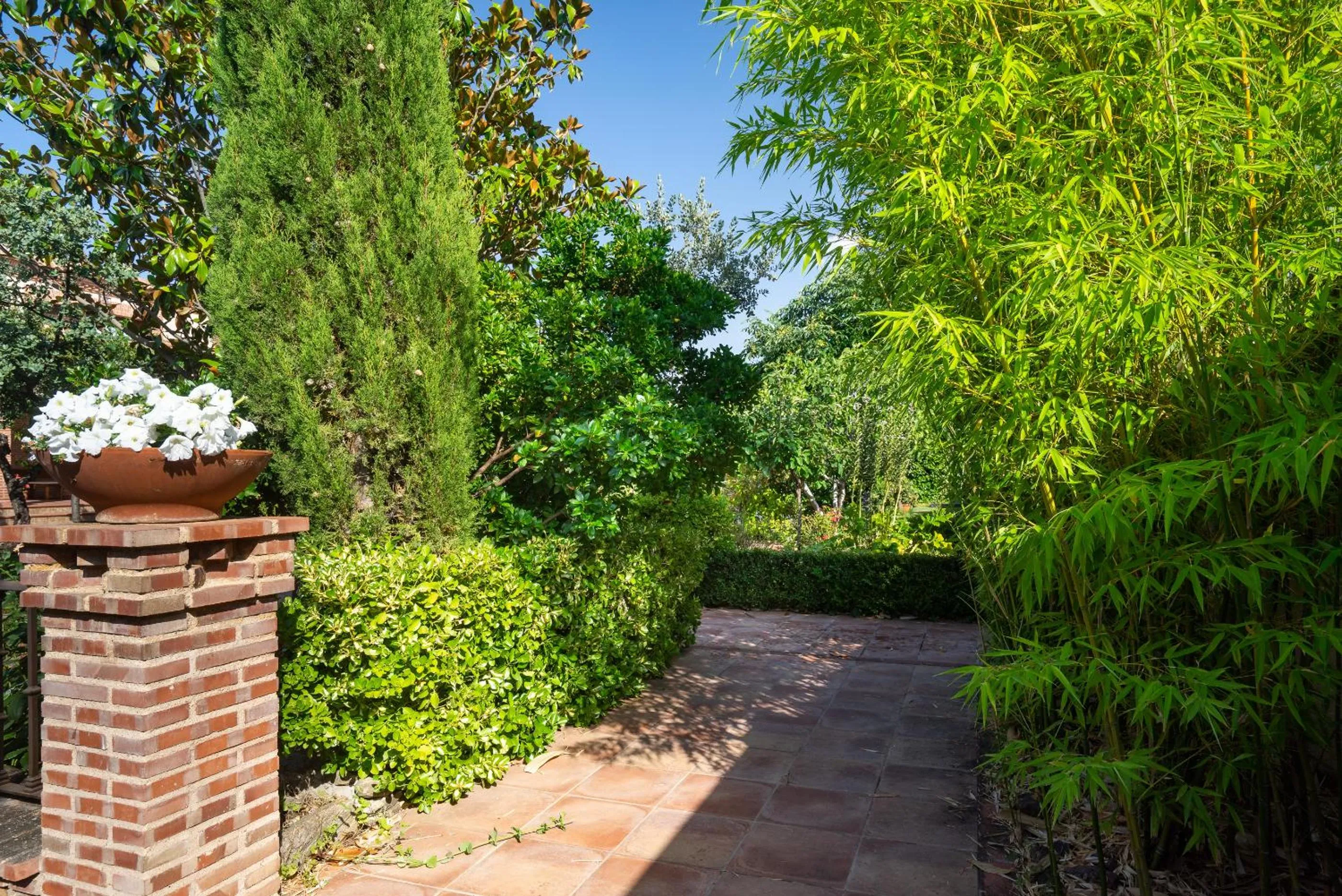 Garden in Villa Marín Toledo