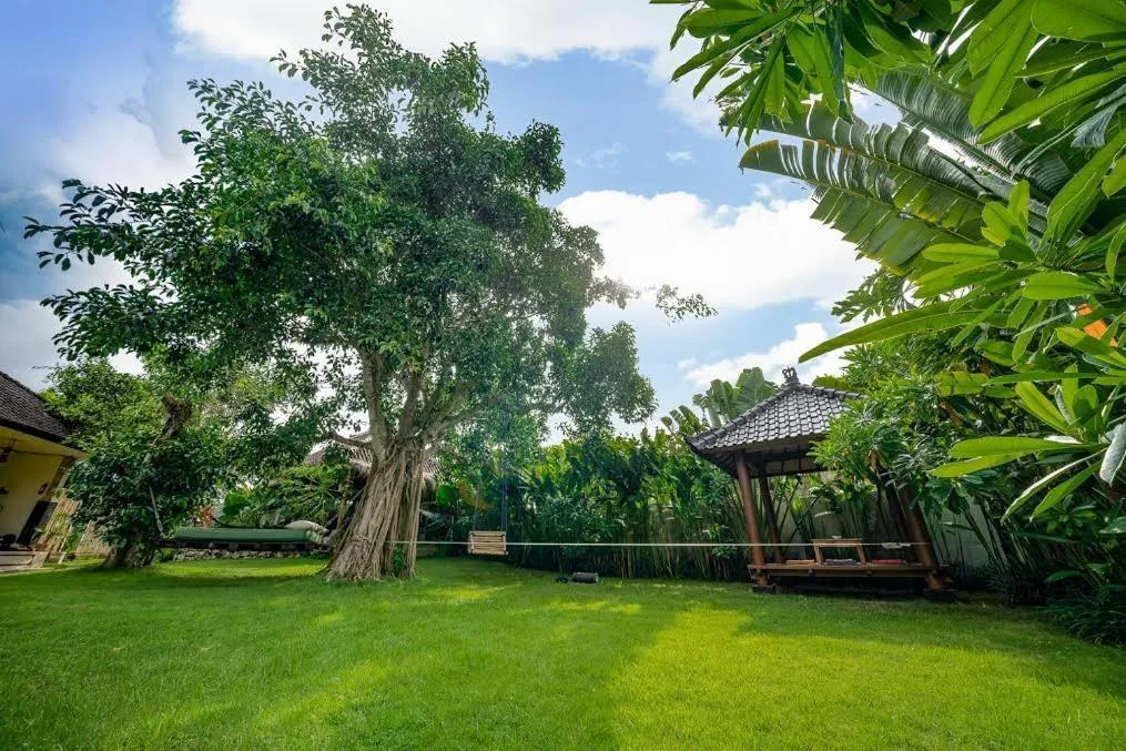 Garden in The Bali Boarding House