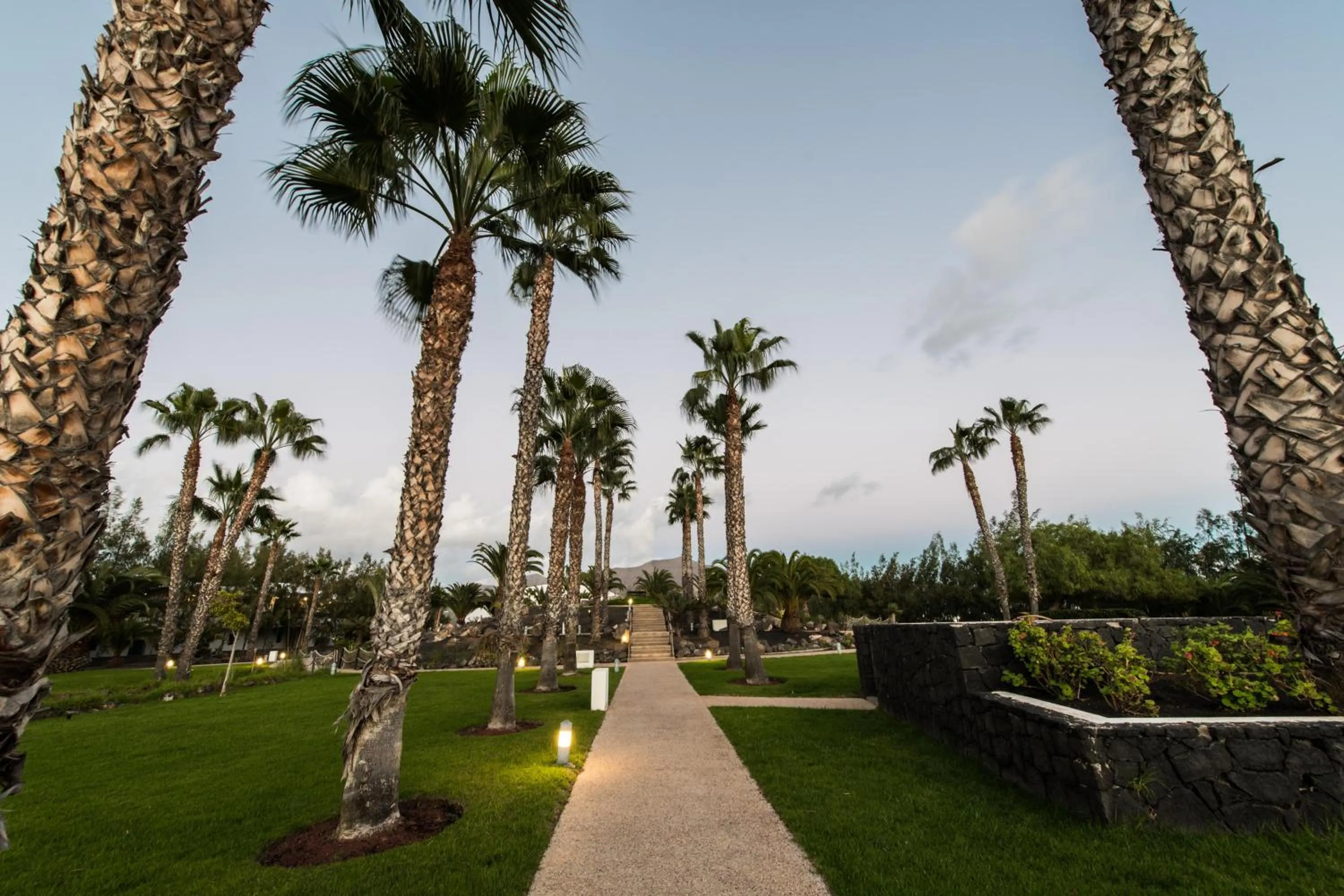 Garden in THB Tropical Island